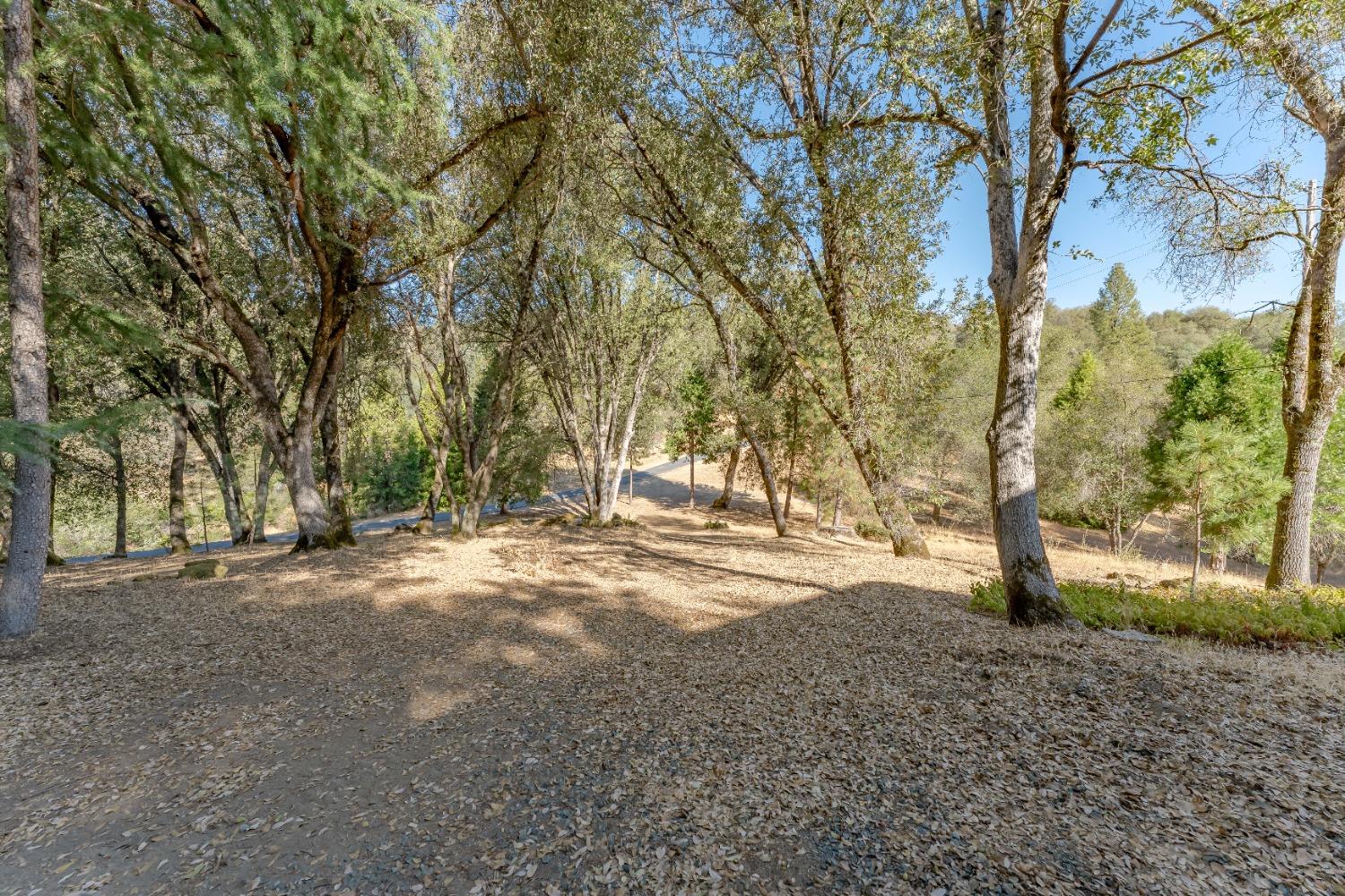 Detail Gallery Image 61 of 74 For 3825 Ethelon Pl, Placerville,  CA 95667 - 3 Beds | 3/1 Baths