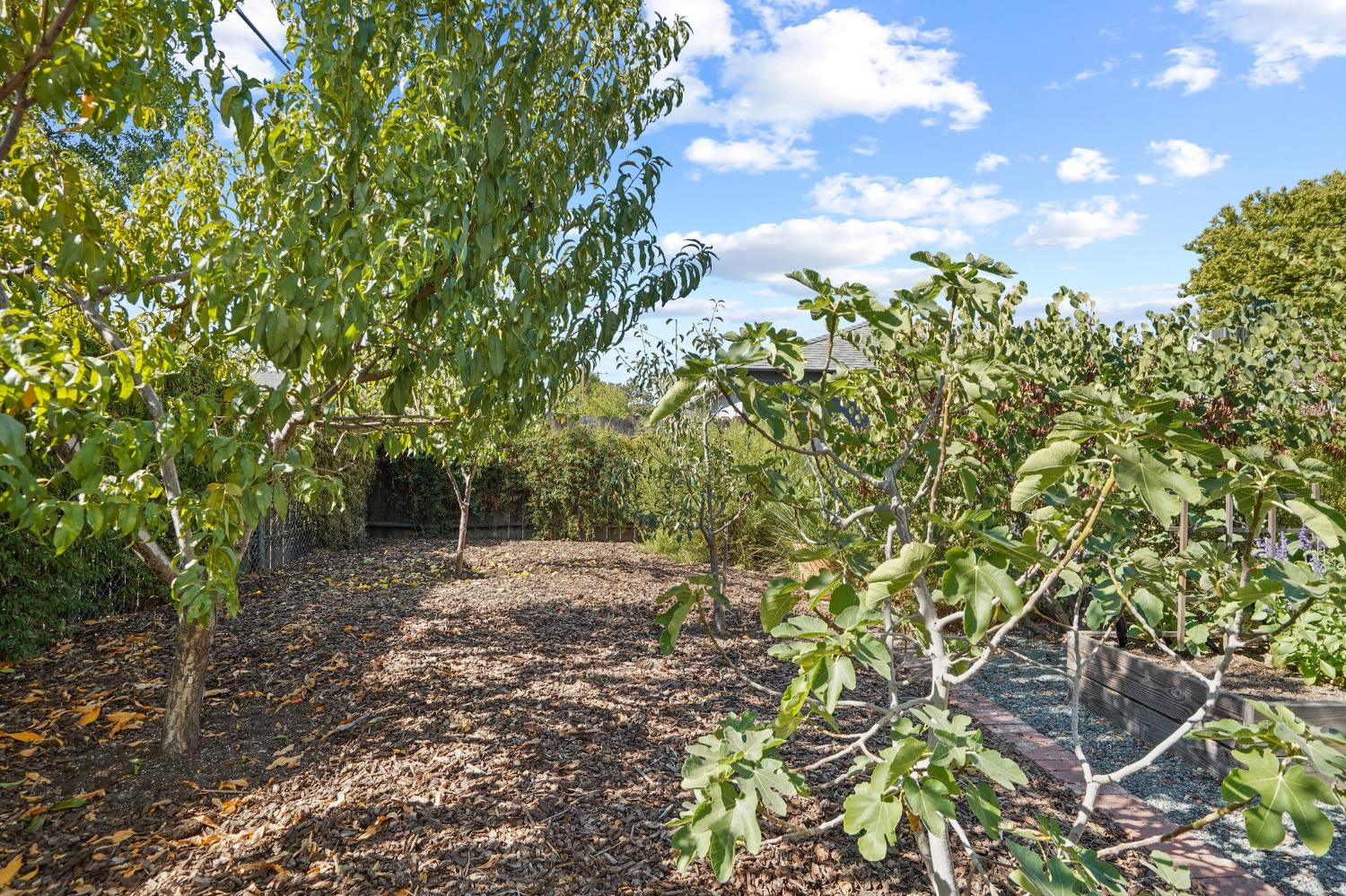 Detail Gallery Image 43 of 49 For 2140 Murieta Way, Sacramento,  CA 95822 - 3 Beds | 1 Baths