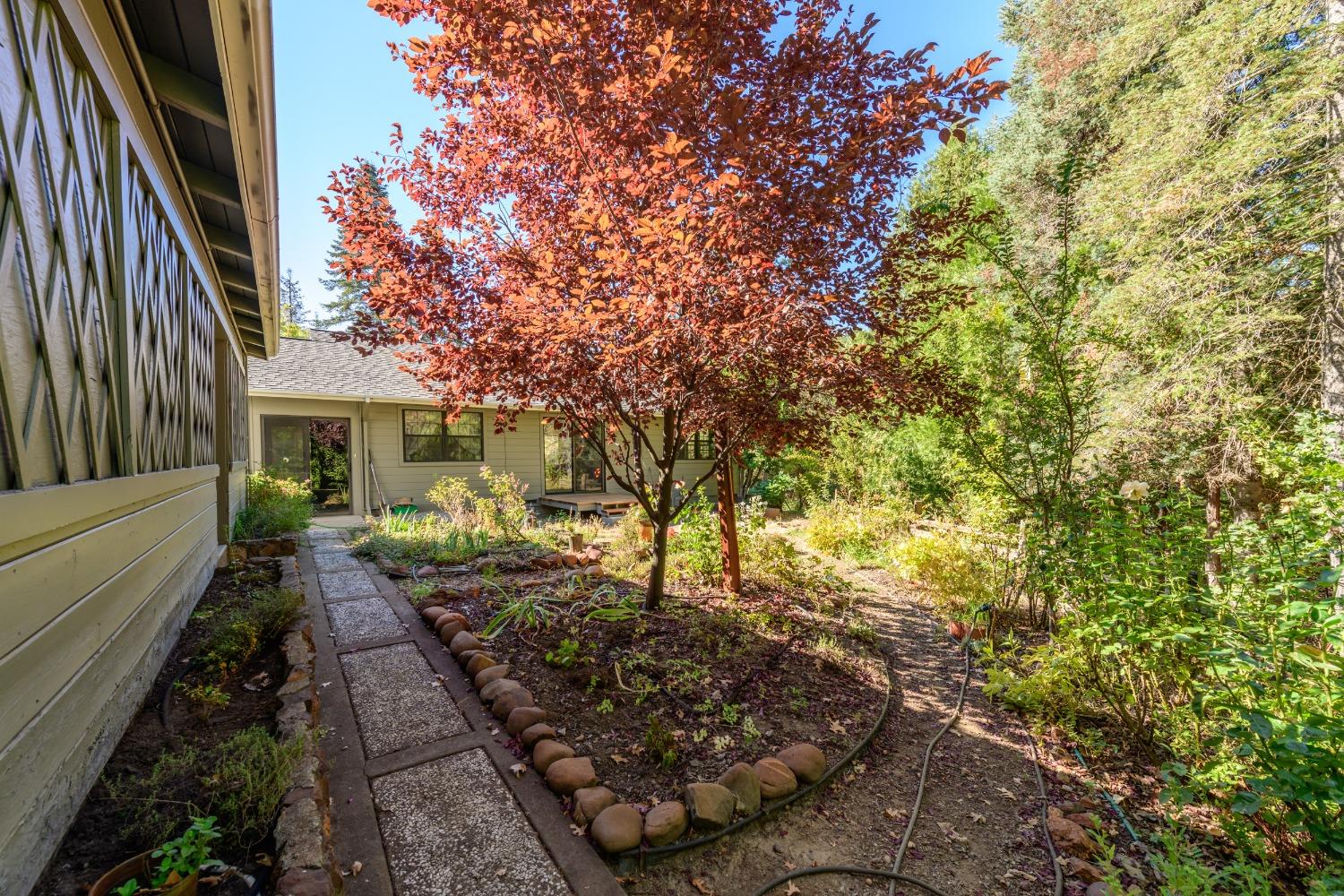 Detail Gallery Image 32 of 58 For 1802 Twitchell Rd, Placerville,  CA 95667 - 3 Beds | 2 Baths