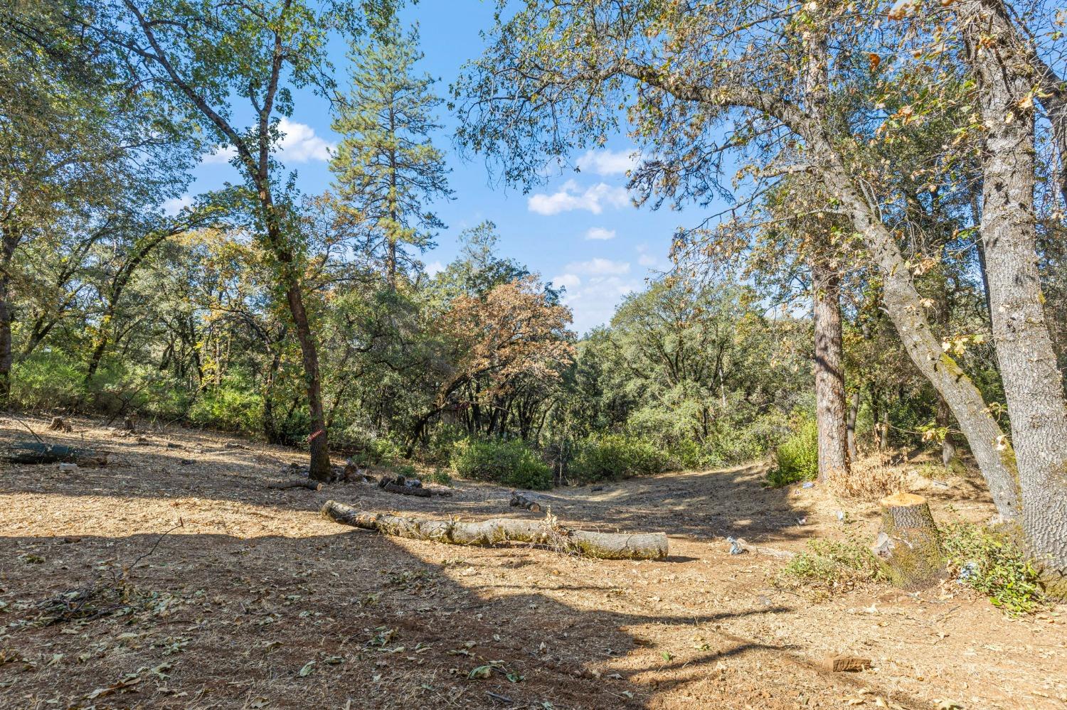 Detail Gallery Image 43 of 54 For 385 Julie Way, Applegate,  CA 95703 - 2 Beds | 2 Baths