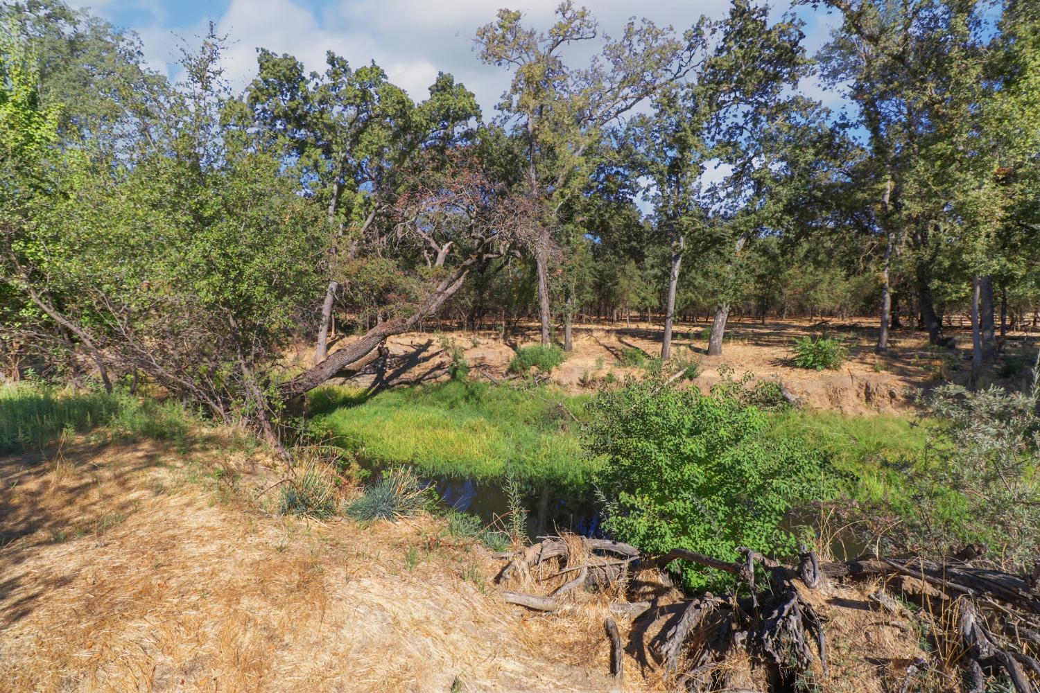 Detail Gallery Image 47 of 51 For 213 Partridge Ct, Roseville,  CA 95661 - 3 Beds | 2 Baths