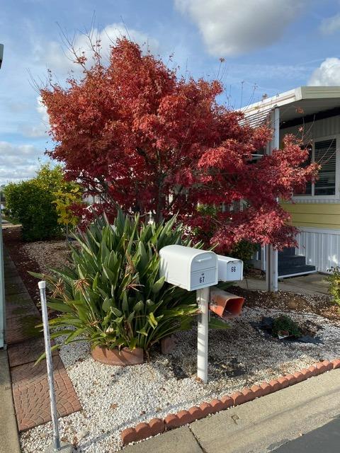 Detail Gallery Image 2 of 33 For 66 Bouganvillea, Sacramento,  CA 95828 - 2 Beds | 2 Baths