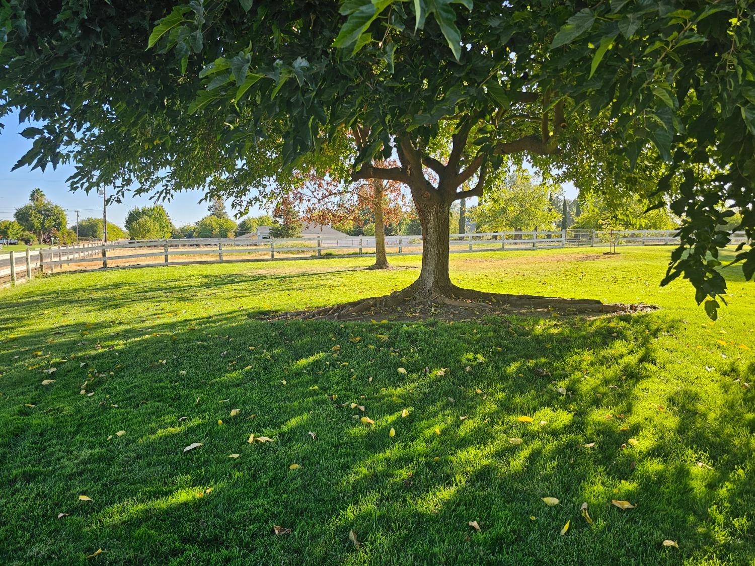 Detail Gallery Image 10 of 99 For 3232 Amoruso Way, Roseville,  CA 95747 - 3 Beds | 2/1 Baths