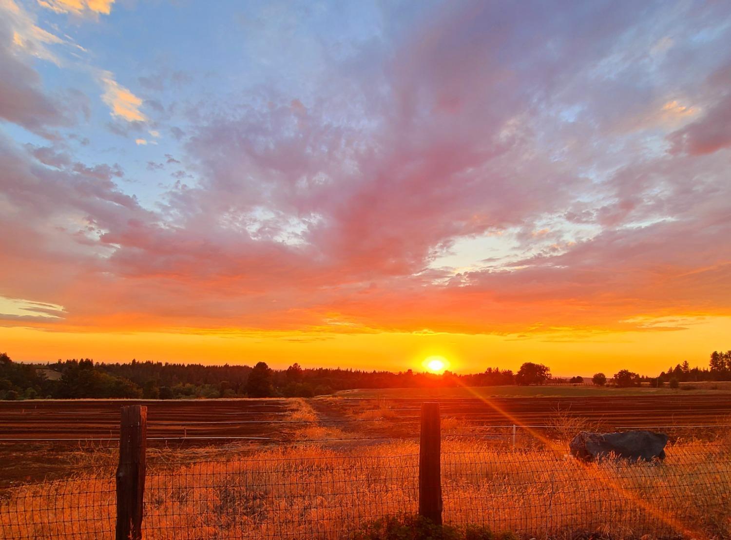 Fruitridge Road, Camino, California image 7