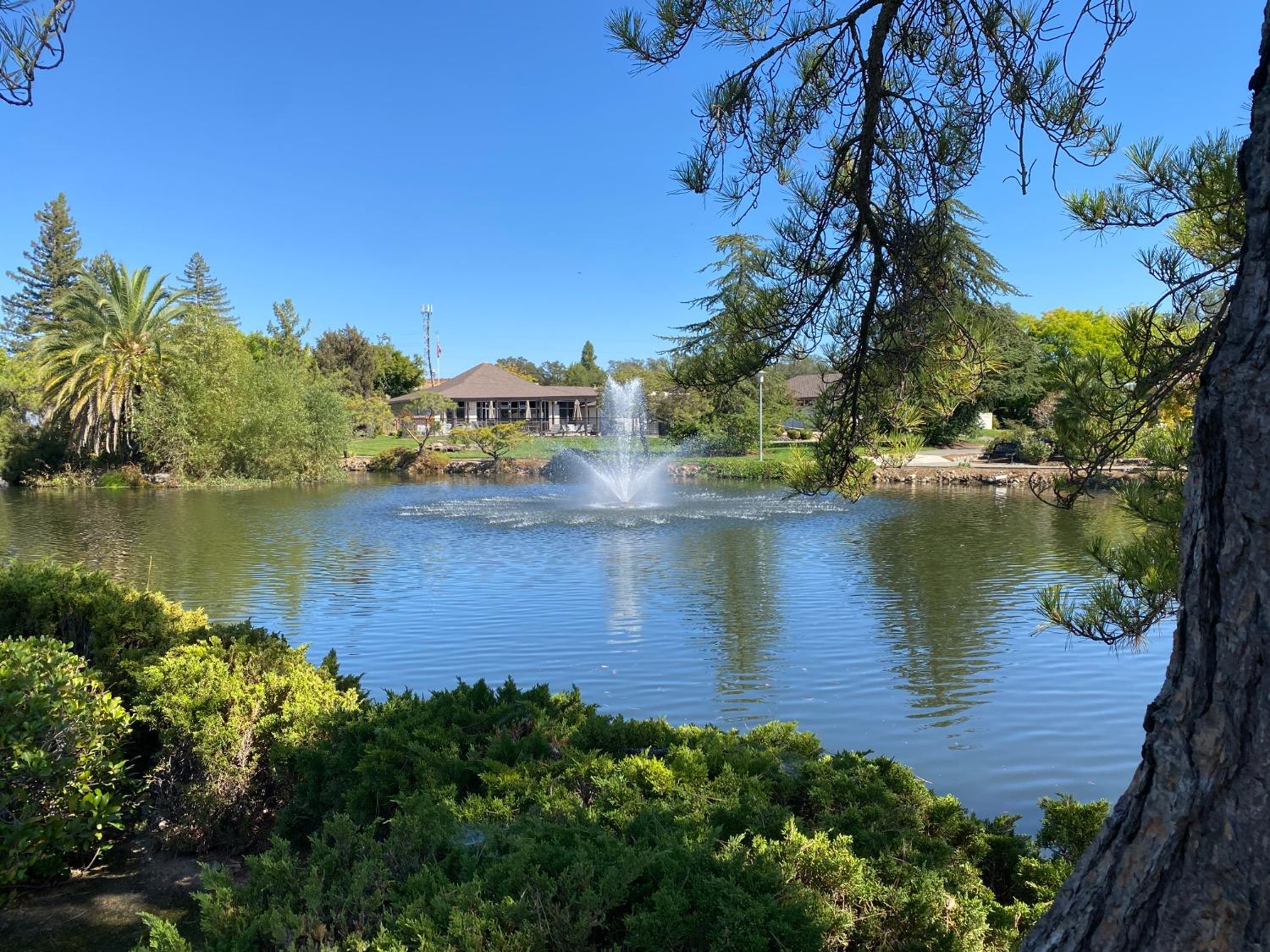 Detail Gallery Image 40 of 50 For 283 Northwood Dr, Folsom,  CA 95630 - 2 Beds | 2 Baths