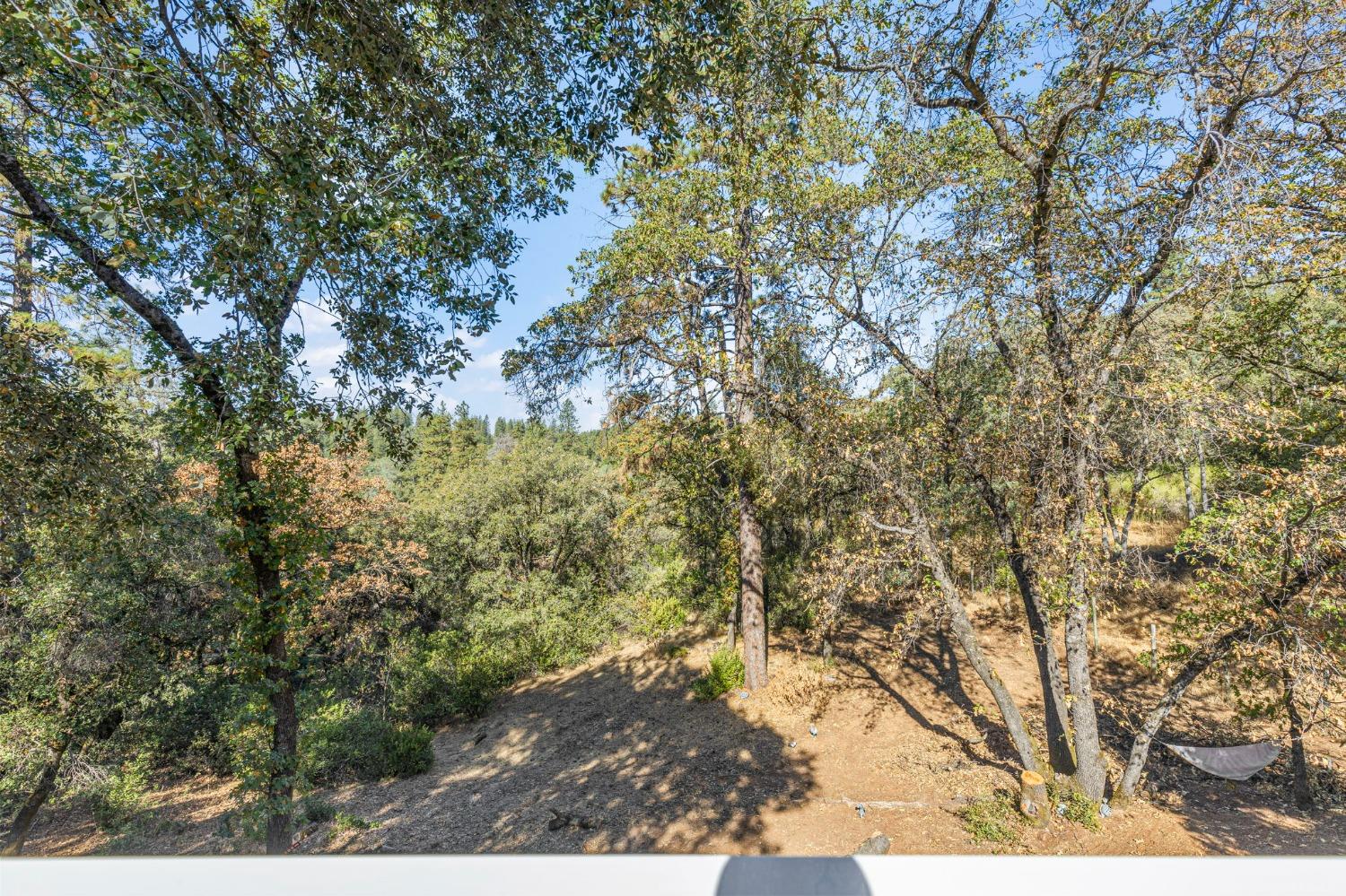 Detail Gallery Image 44 of 54 For 385 Julie Way, Applegate,  CA 95703 - 2 Beds | 2 Baths