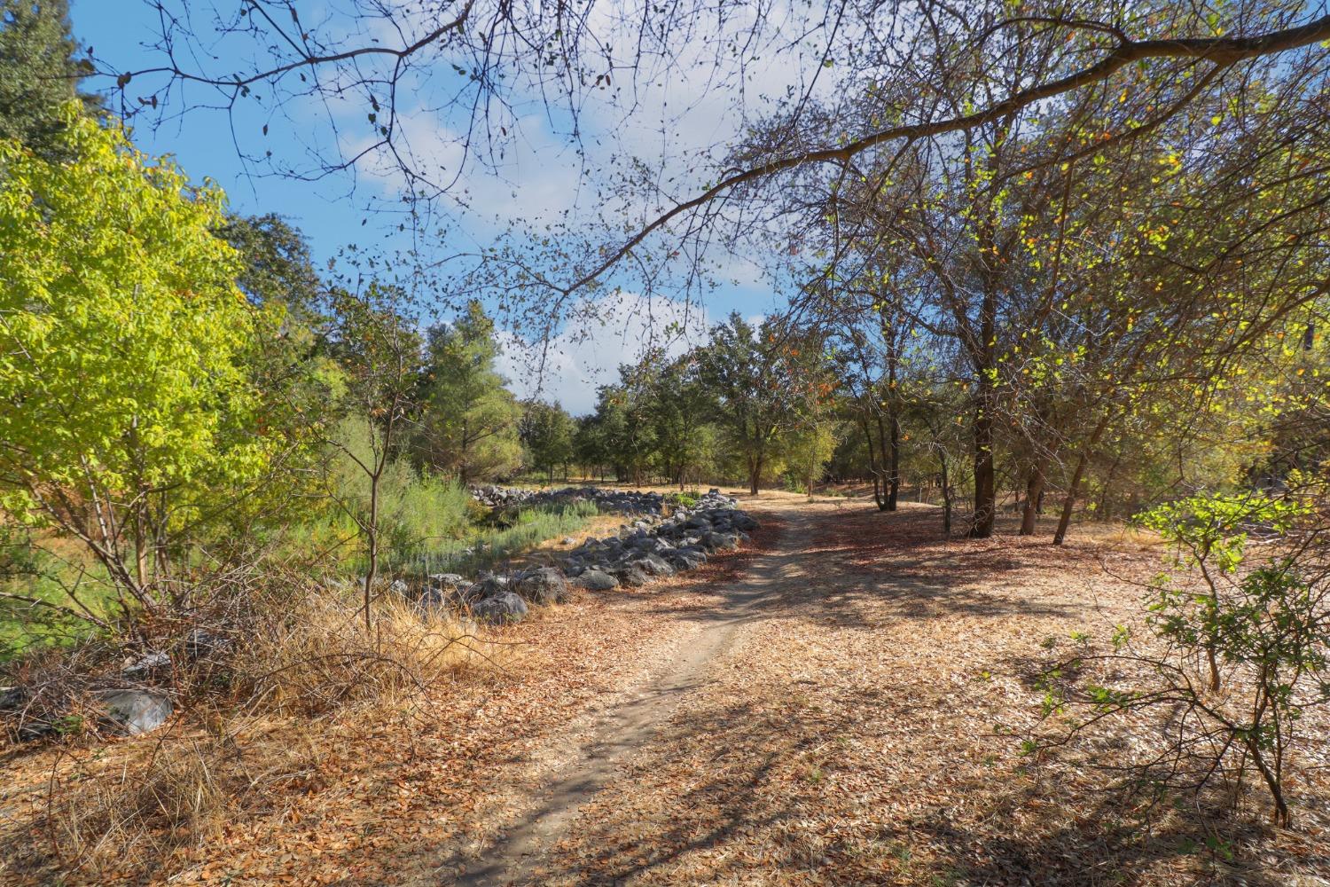 Detail Gallery Image 45 of 51 For 213 Partridge Ct, Roseville,  CA 95661 - 3 Beds | 2 Baths