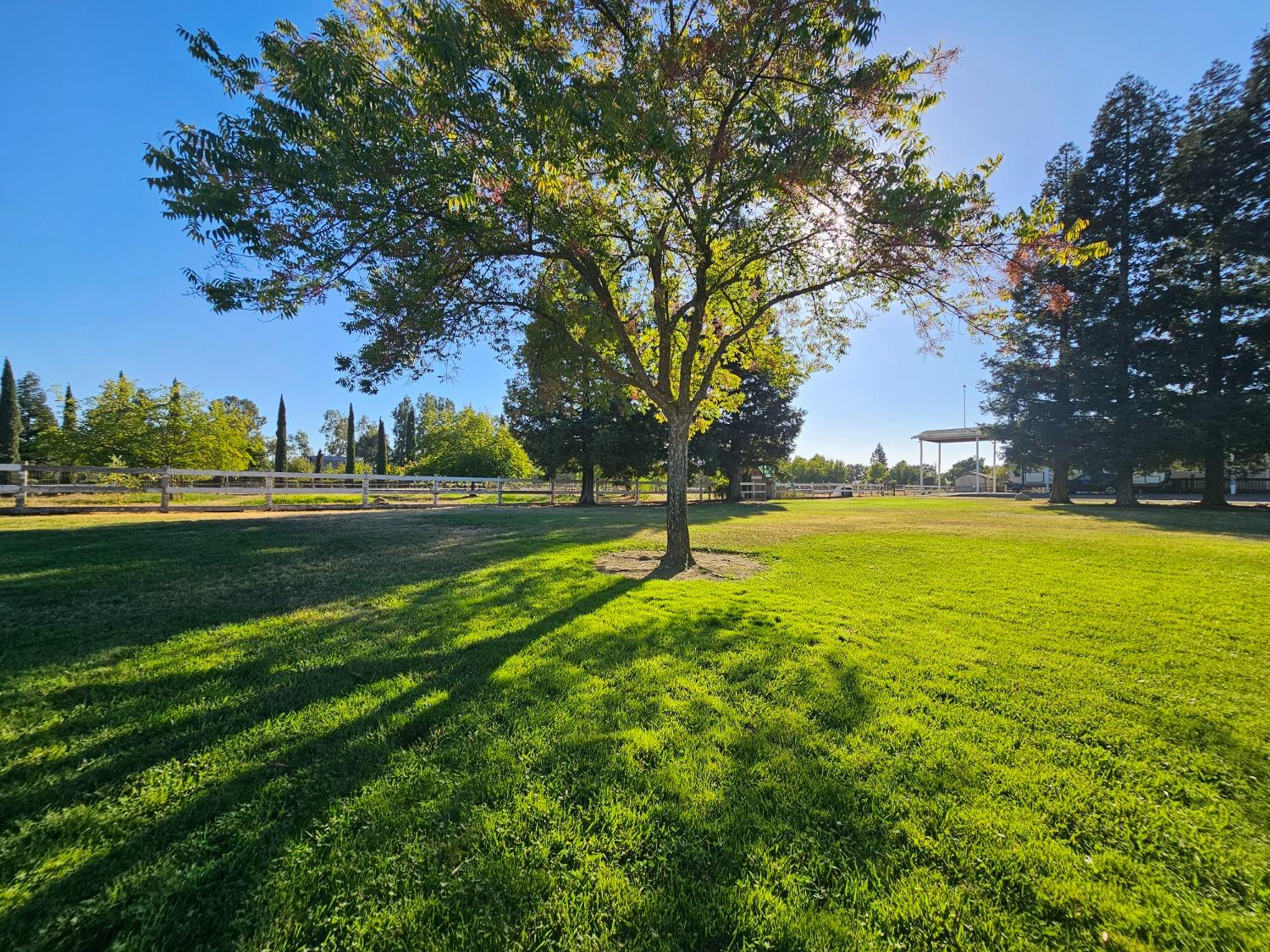 Detail Gallery Image 58 of 99 For 3232 Amoruso Way, Roseville,  CA 95747 - 3 Beds | 2/1 Baths