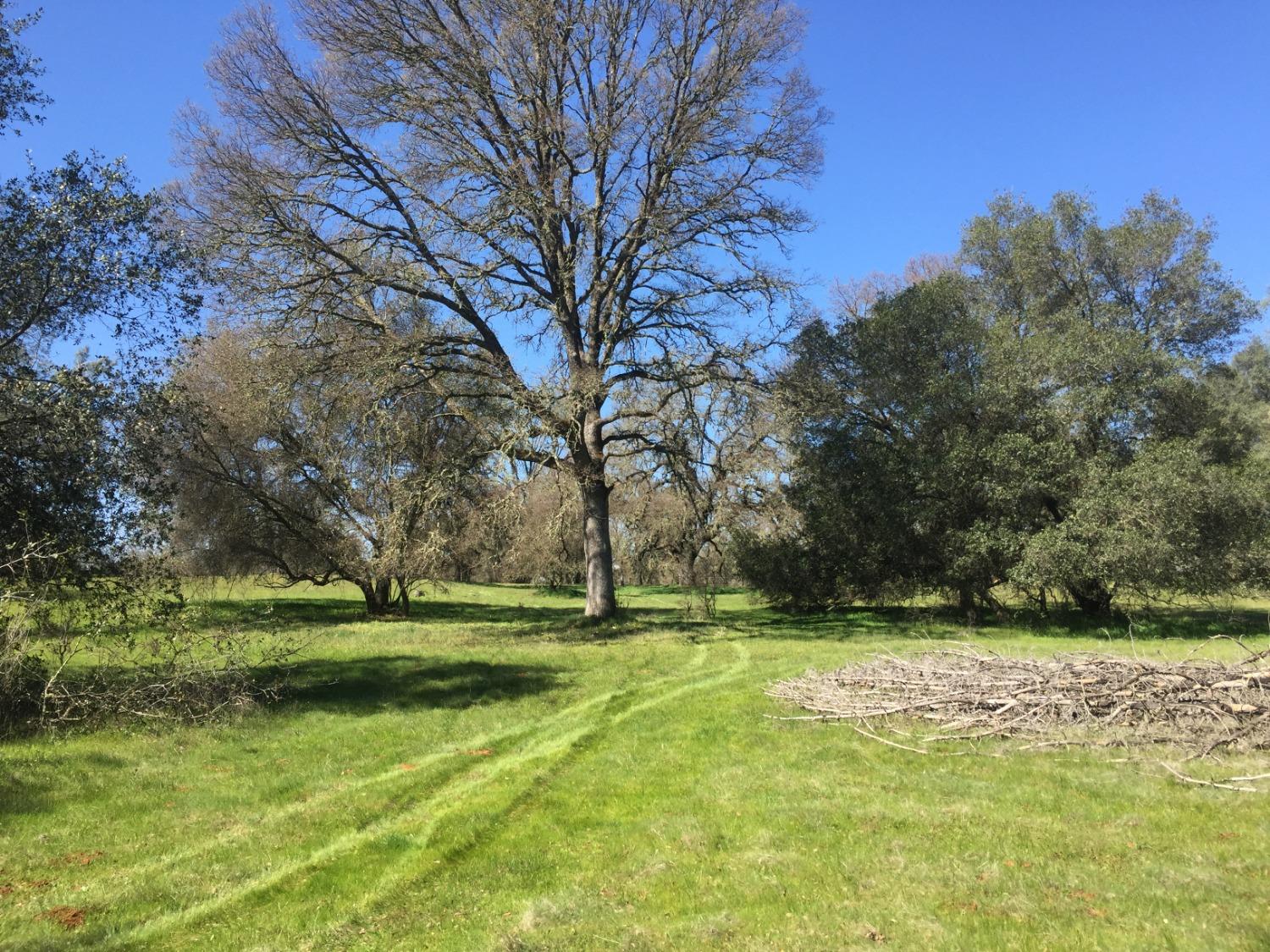 Diablo Circle, Browns Valley, California image 1