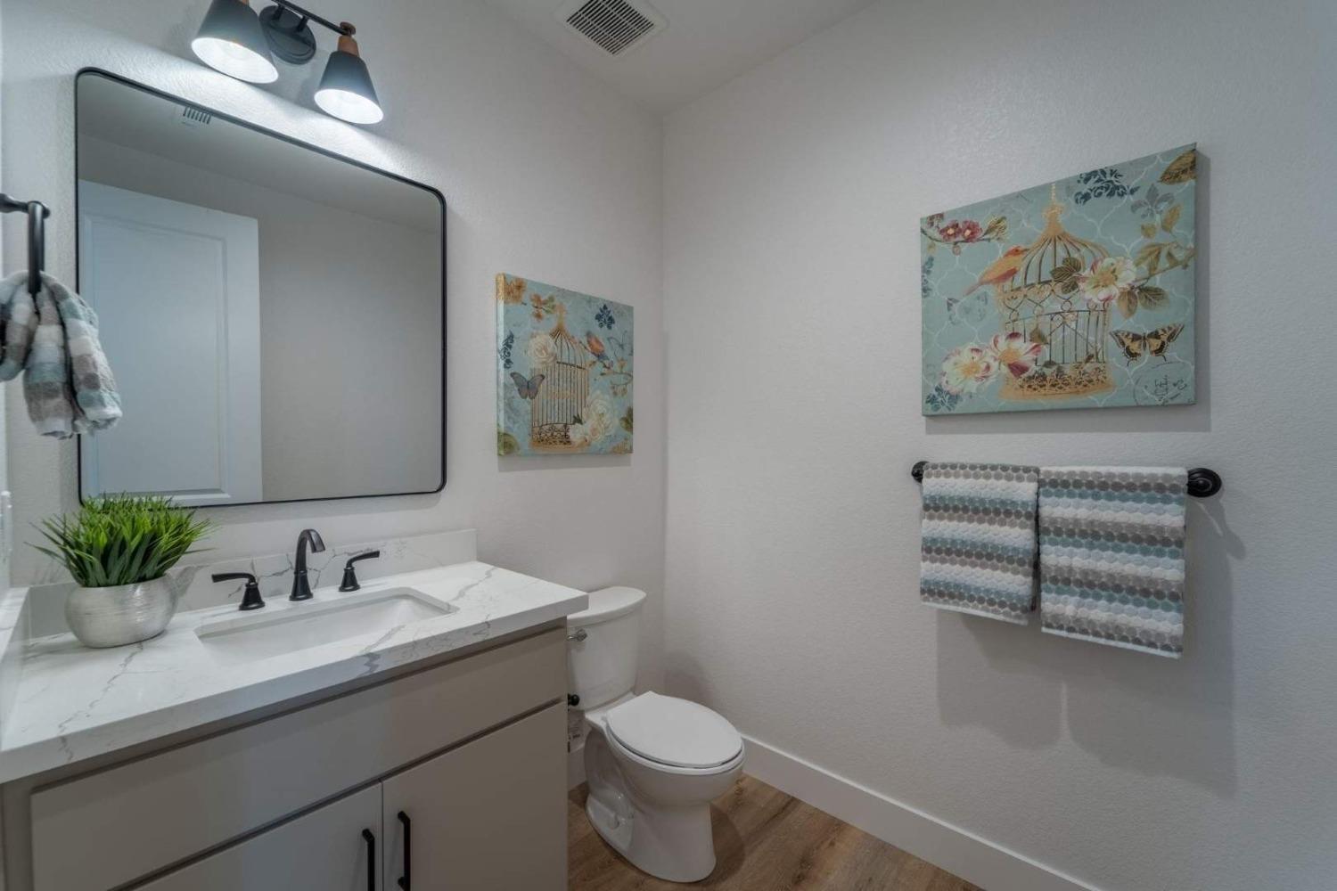 Detail Gallery Image 11 of 22 For 876 Tiffani Way, Oakdale,  CA 95361 - 3 Beds | 2/1 Baths