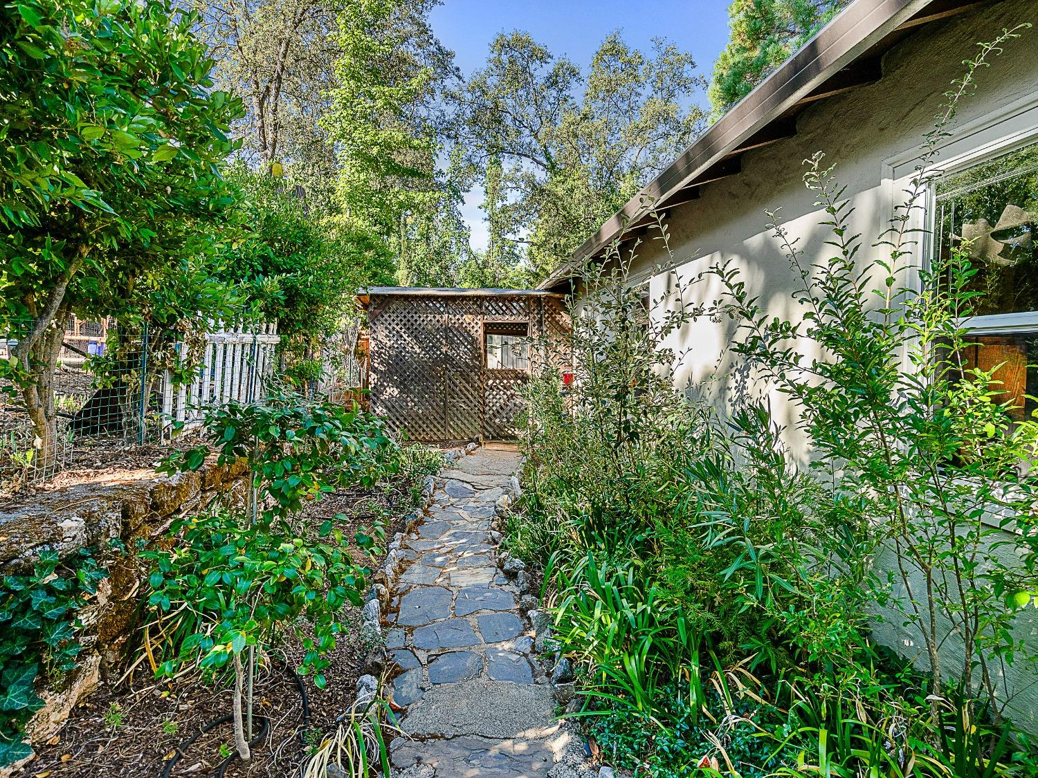 Detail Gallery Image 6 of 51 For 3092 Clark St, Placerville,  CA 95667 - 4 Beds | 2 Baths