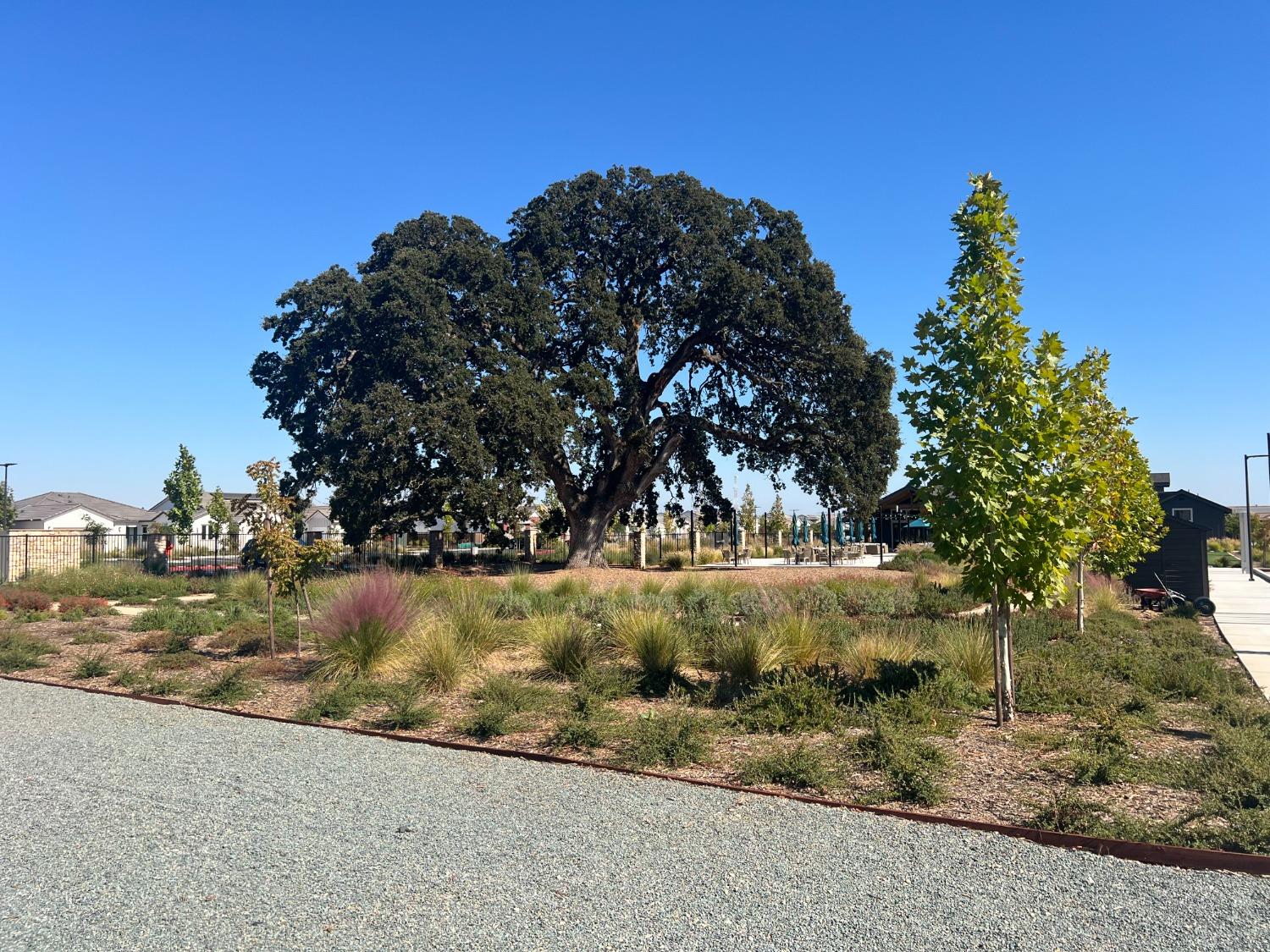 Detail Gallery Image 65 of 74 For 4651 Trumpet Lily Way, Roseville,  CA 95747 - 3 Beds | 2/1 Baths