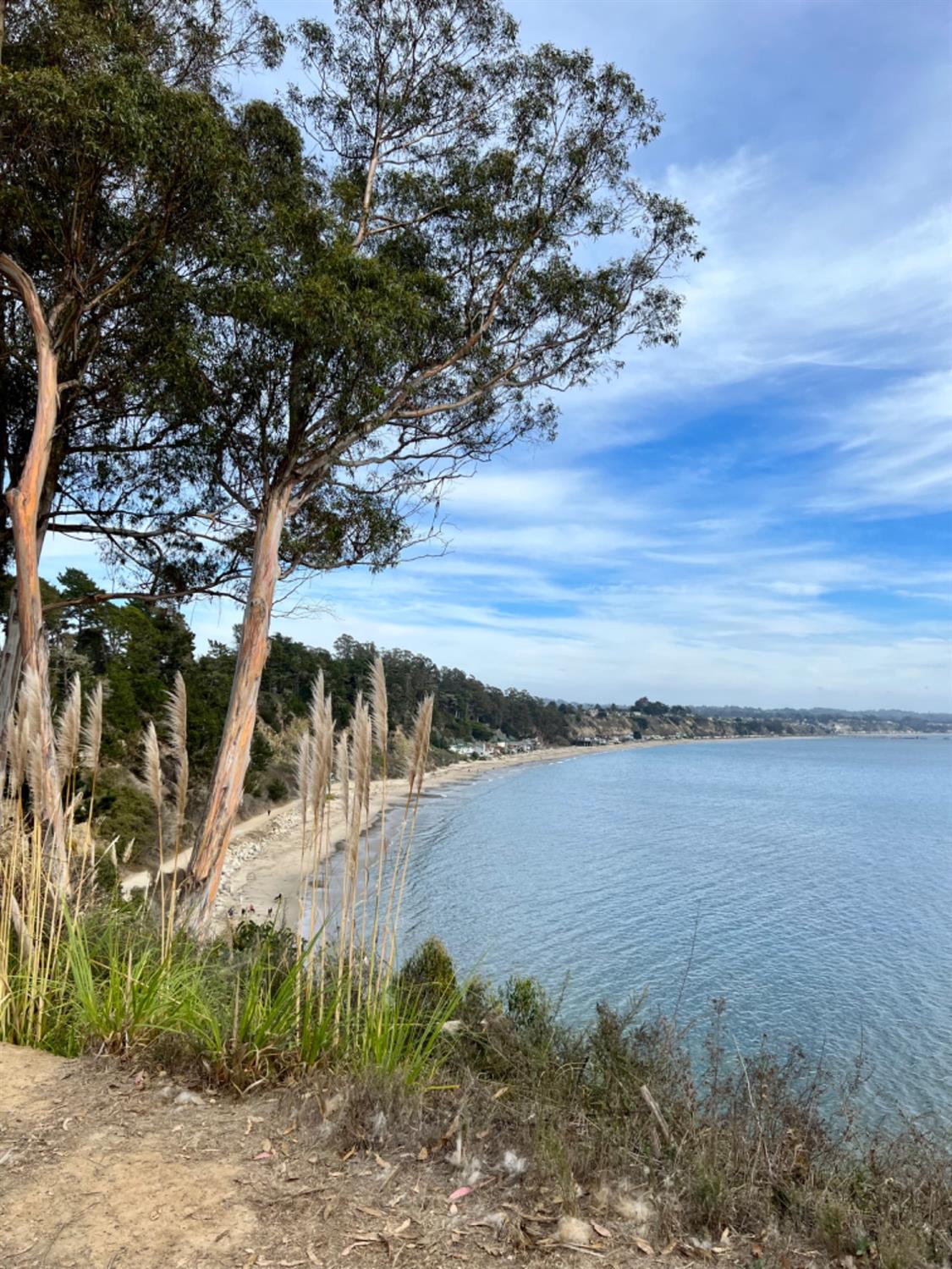 Detail Gallery Image 42 of 50 For 870 Park Ave #105,  Capitola,  CA 95010 - 2 Beds | 2 Baths