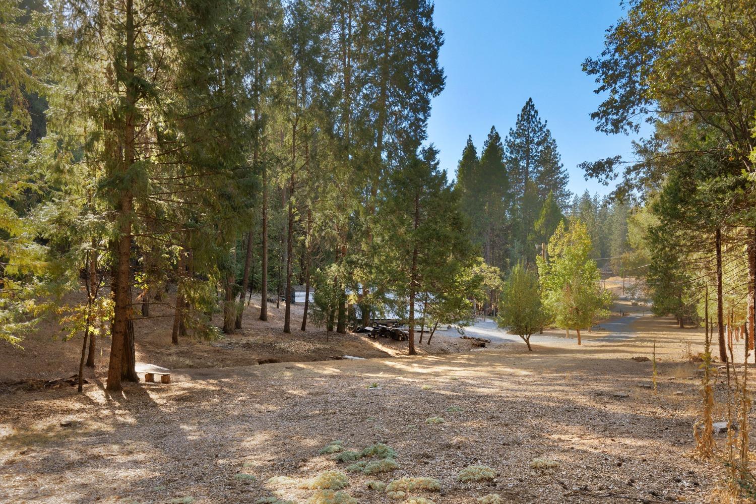 Detail Gallery Image 29 of 38 For 5400 Edelweiss Way, Pollock Pines,  CA 95726 - 2 Beds | 2 Baths