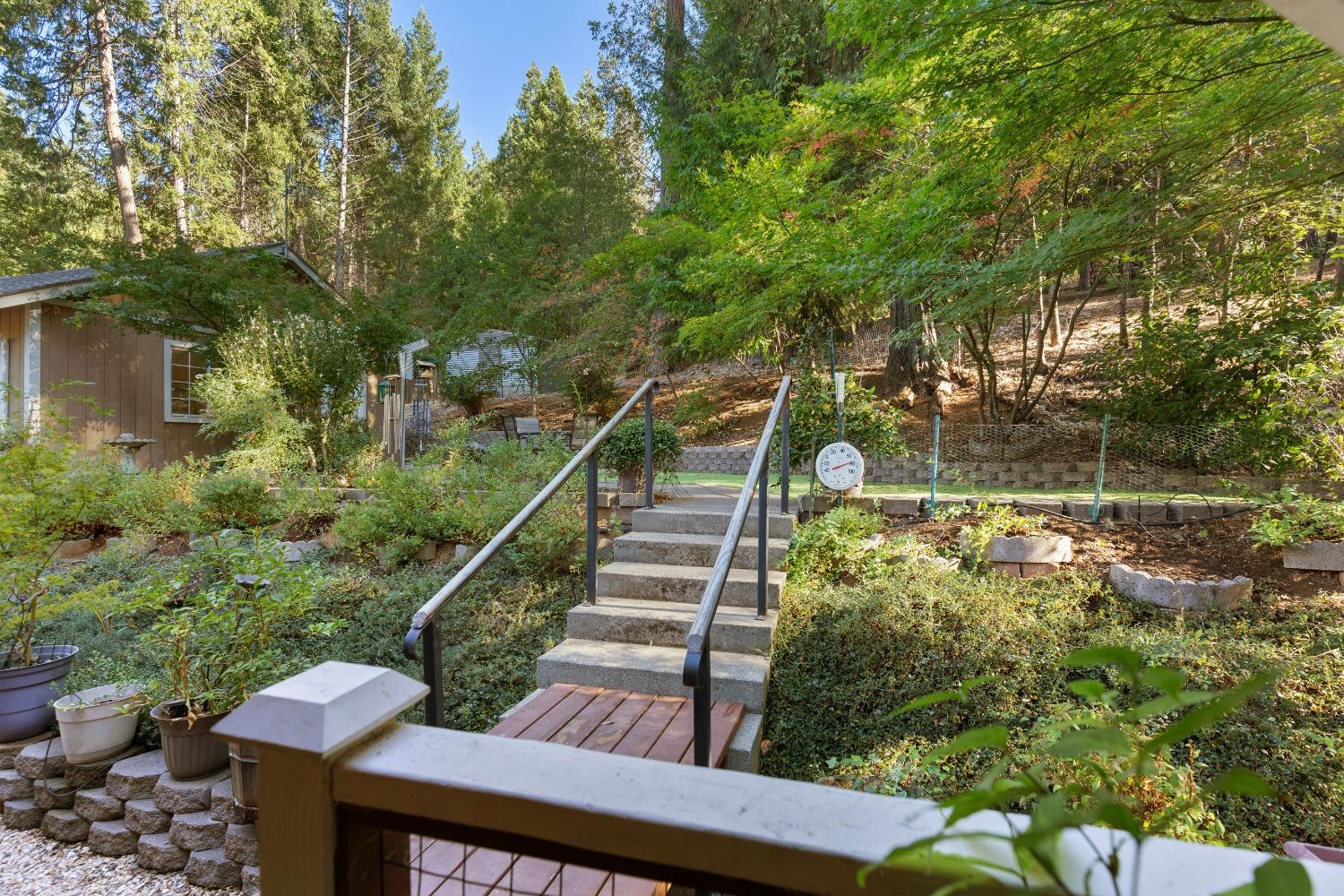 Detail Gallery Image 5 of 38 For 5400 Edelweiss Way, Pollock Pines,  CA 95726 - 2 Beds | 2 Baths