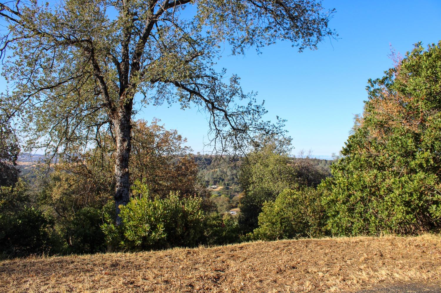 Detail Gallery Image 7 of 29 For 10155 Peppermint Cir 78, Jamestown,  CA 95327 - 3 Beds | 2 Baths