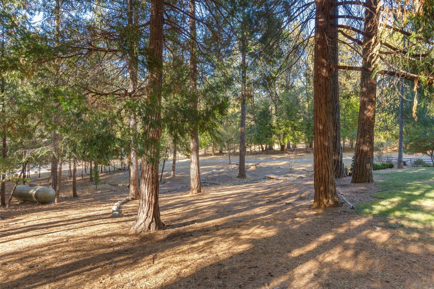 Detail Gallery Image 33 of 38 For 5400 Edelweiss Way, Pollock Pines,  CA 95726 - 2 Beds | 2 Baths