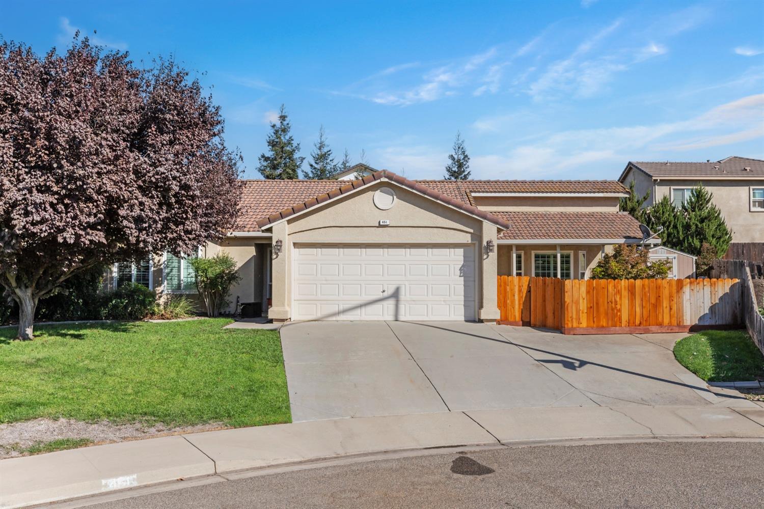 Detail Gallery Image 1 of 29 For 451 Shalako Dr, Oakdale,  CA 95361 - 3 Beds | 2 Baths