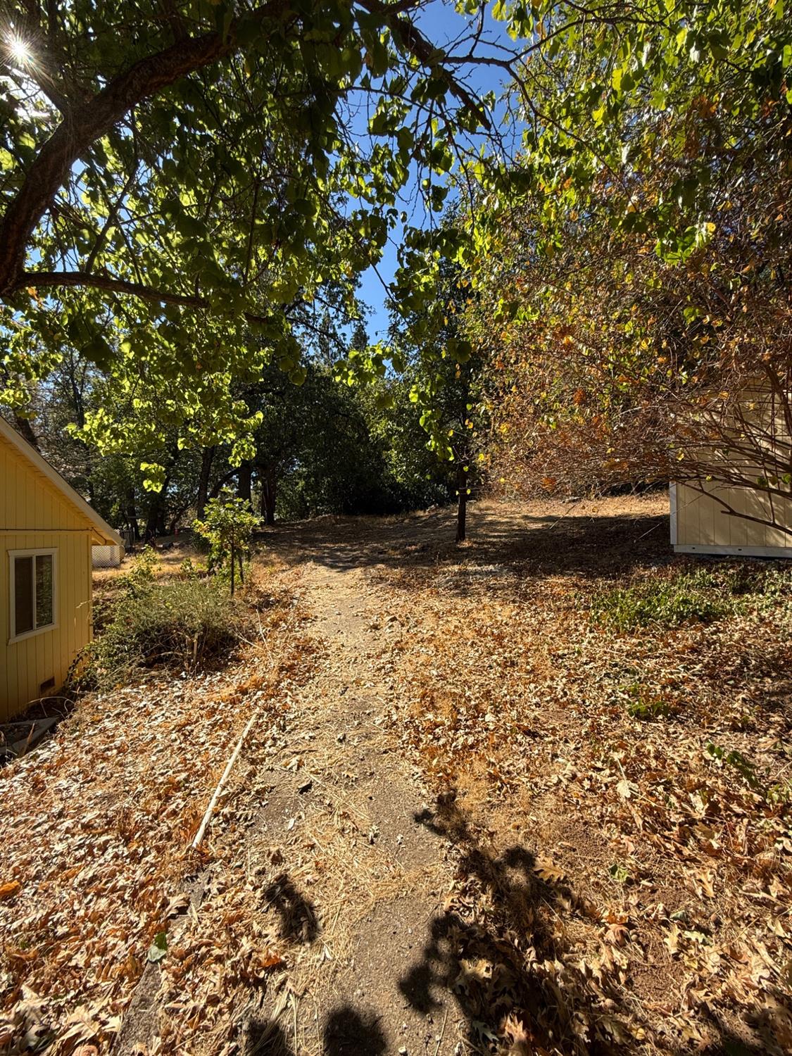 Detail Gallery Image 25 of 36 For 3420 Rio Vista Way, Camino,  CA 95709 - 3 Beds | 2 Baths