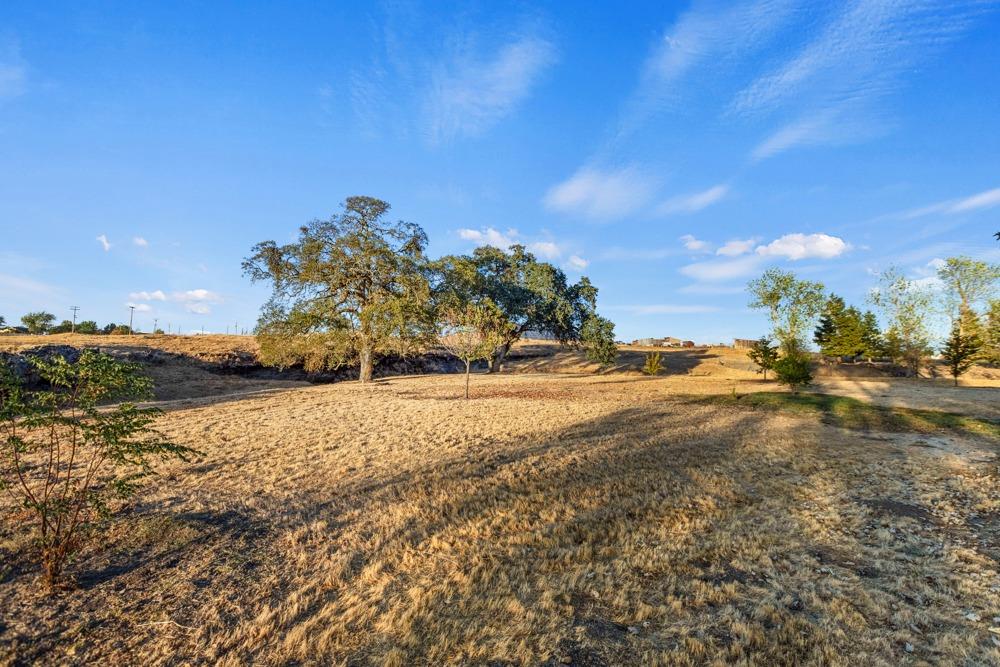 Duck Creek Road, Ione, California image 42