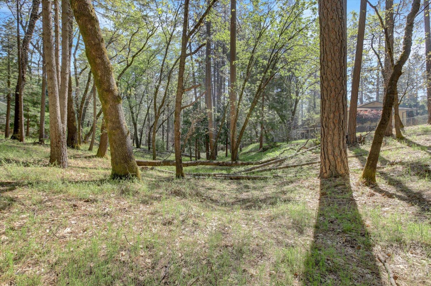 Detail Gallery Image 78 of 99 For 11452 Lexington Way, Grass Valley,  CA 95945 - 4 Beds | 3 Baths