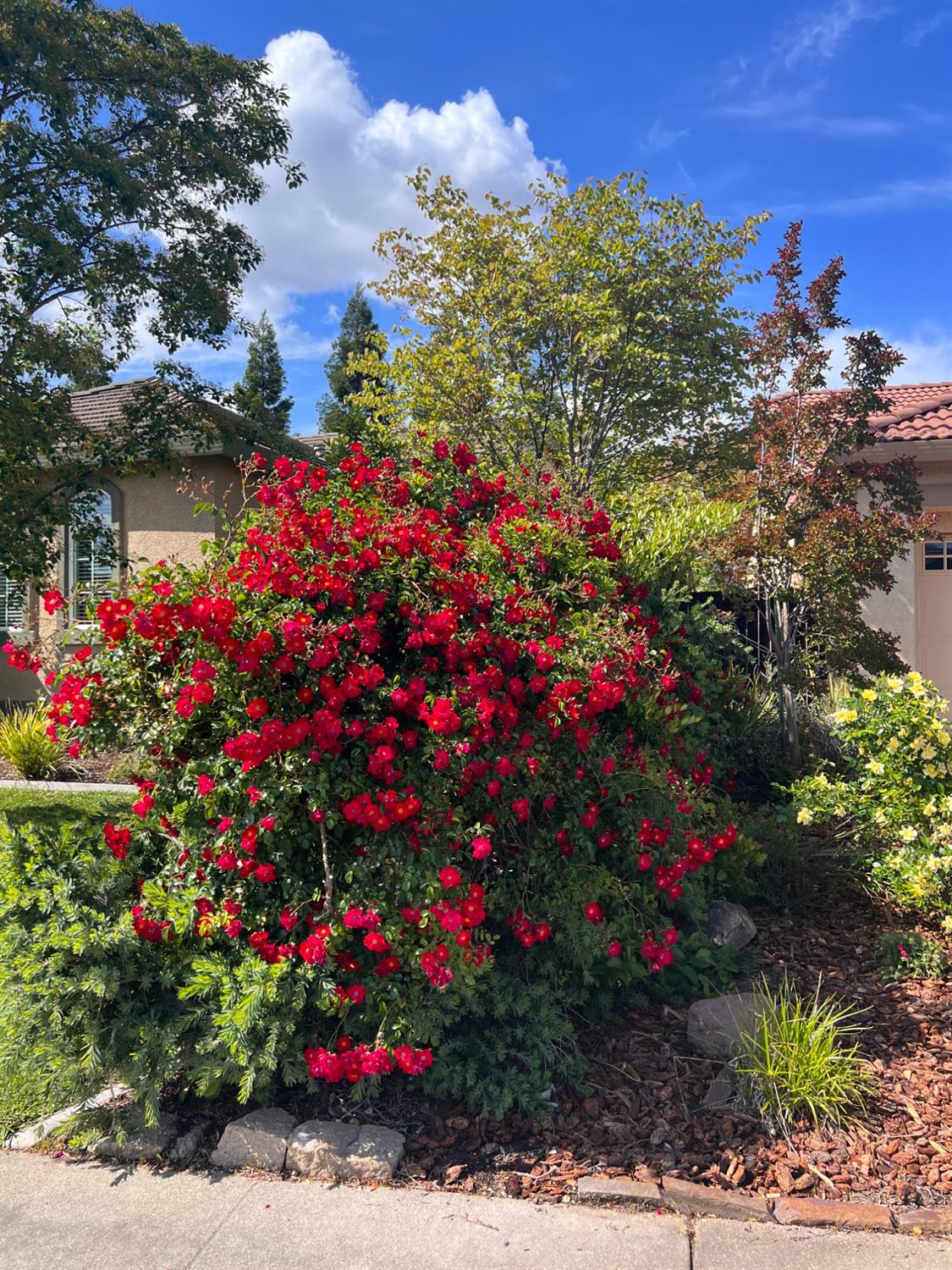 Detail Gallery Image 56 of 61 For 1932 Atwell St, Roseville,  CA 95747 - 3 Beds | 2/1 Baths