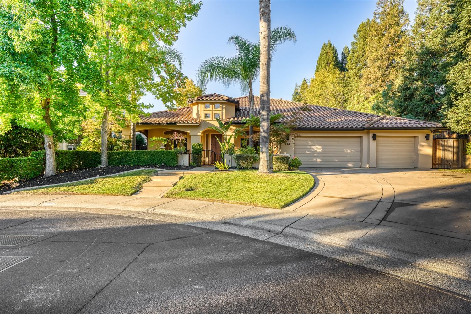 Detail Gallery Image 1 of 1 For 114 Painted Rock Pl, Folsom,  CA 95630 - 5 Beds | 3/1 Baths