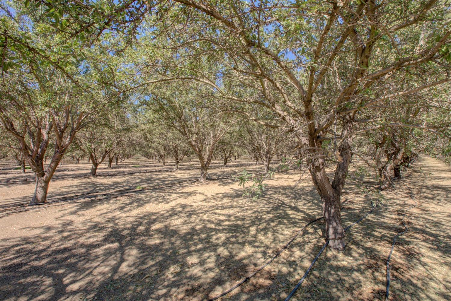 Detail Gallery Image 56 of 60 For 20865 E River Rd, Ripon,  CA 95366 - 3 Beds | 3 Baths