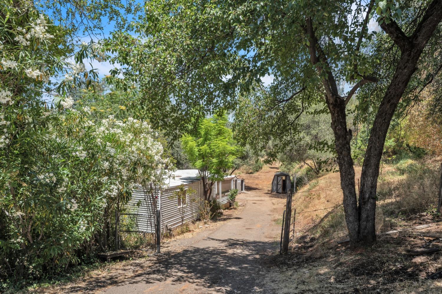 Detail Gallery Image 31 of 41 For 3380 State Highway 49, Placerville,  CA 95667 - 5 Beds | 2 Baths