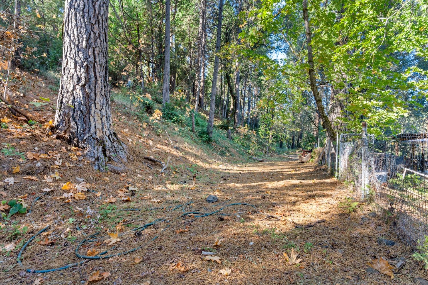 Detail Gallery Image 31 of 34 For 10729 N Bloomfield Rd, Nevada City,  CA 95959 - 3 Beds | 2 Baths