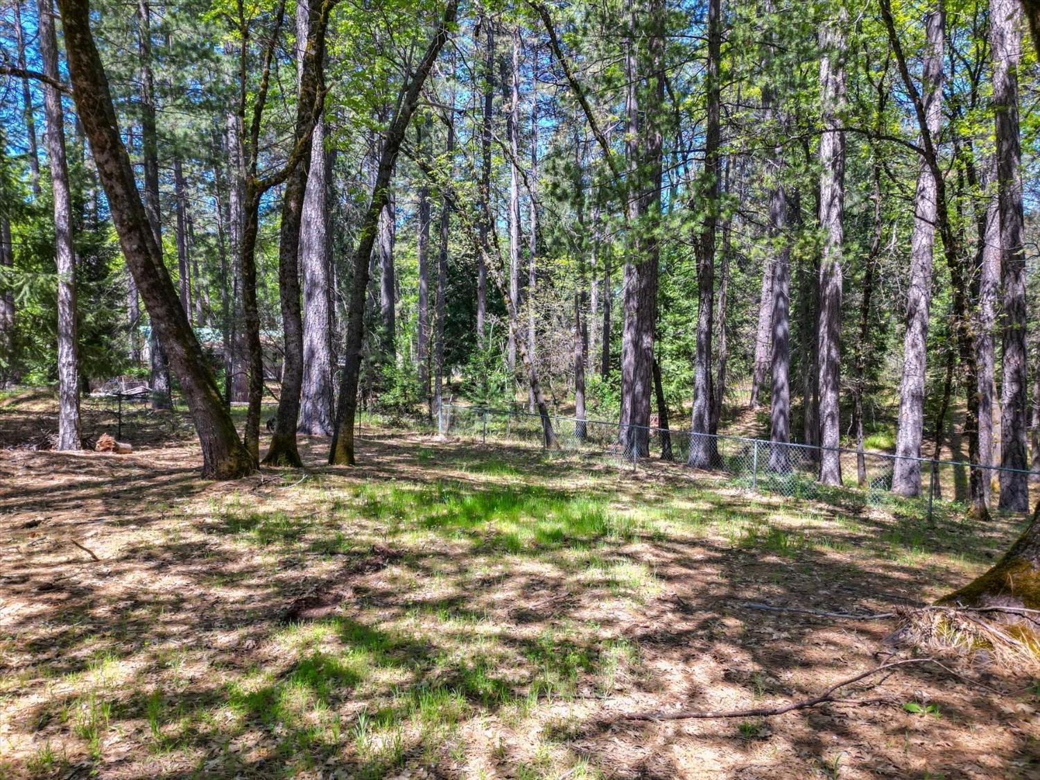 Detail Gallery Image 61 of 99 For 11452 Lexington Way, Grass Valley,  CA 95945 - 4 Beds | 3 Baths