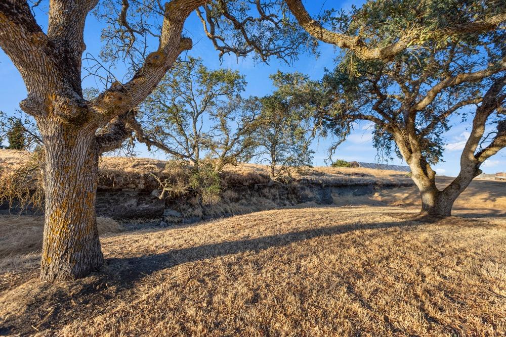 Duck Creek Road, Ione, California image 38