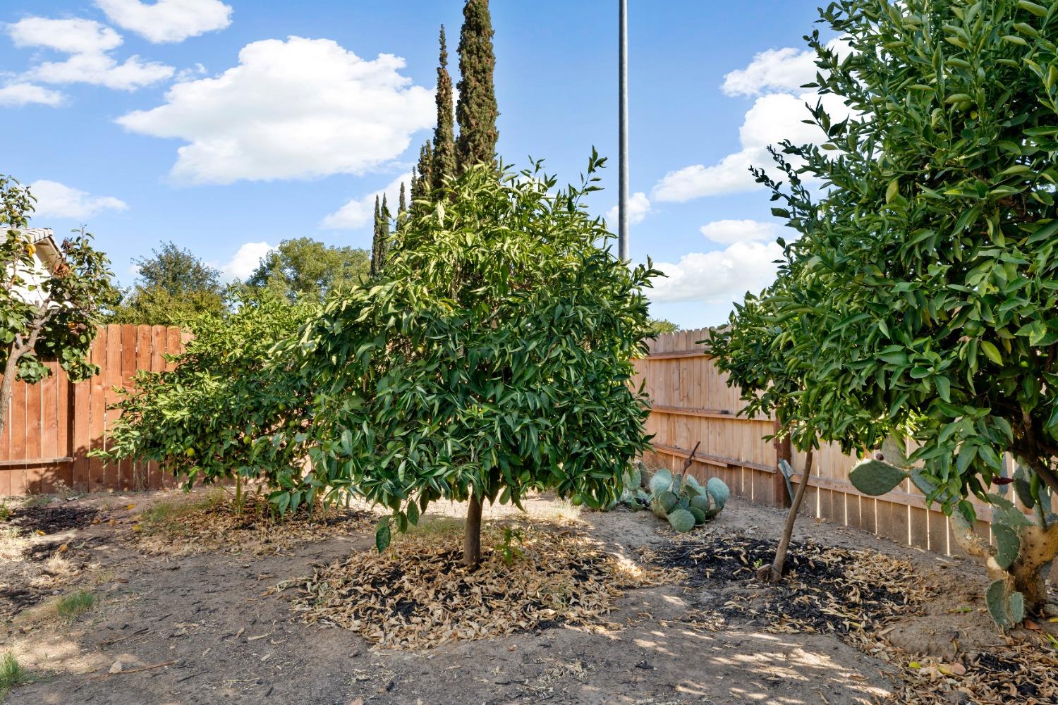 Detail Gallery Image 26 of 31 For 3640 Comanche Way, Antelope,  CA 95843 - 4 Beds | 2/1 Baths