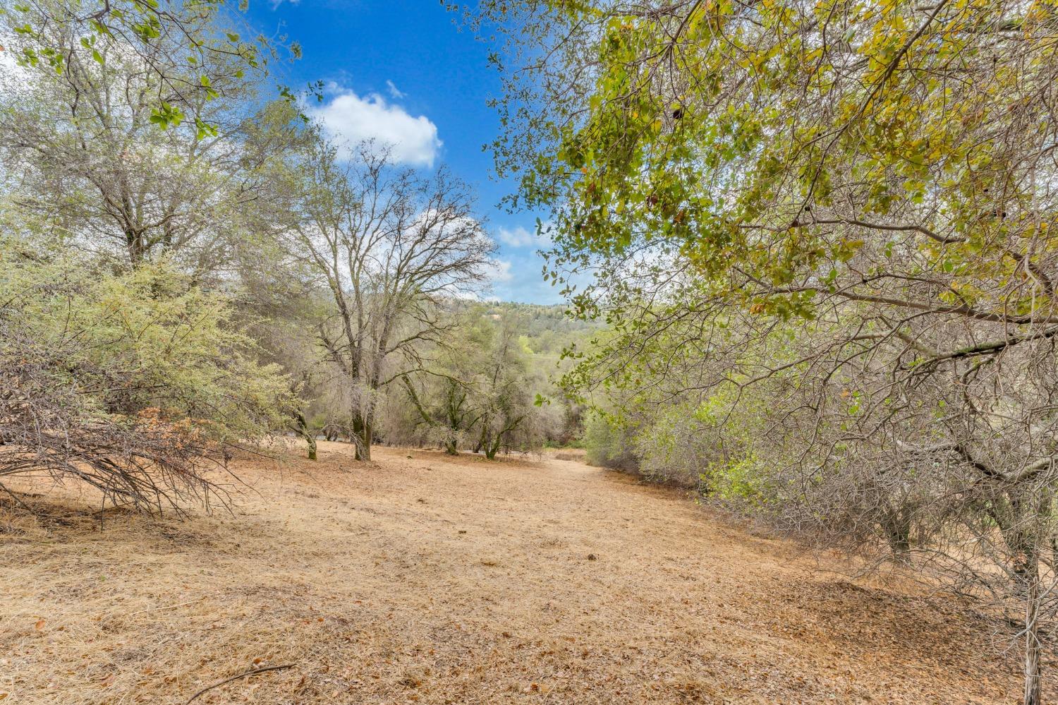 Detail Gallery Image 35 of 56 For 1215 Boot Hill Ln, Newcastle,  CA 95658 - – Beds | – Baths