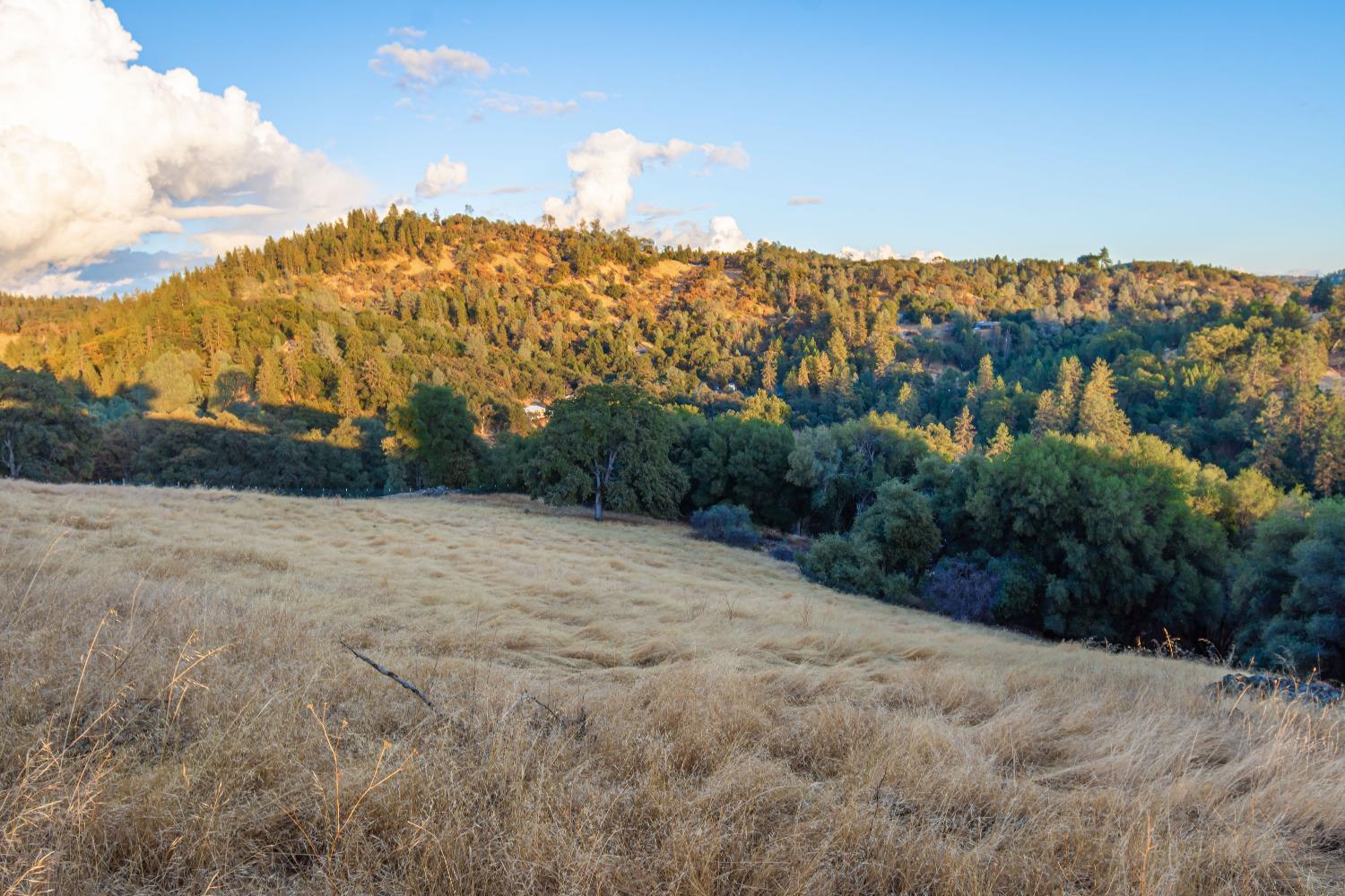 Detail Gallery Image 84 of 98 For 19635 Peyton Pl, Grass Valley,  CA 95949 - – Beds | – Baths