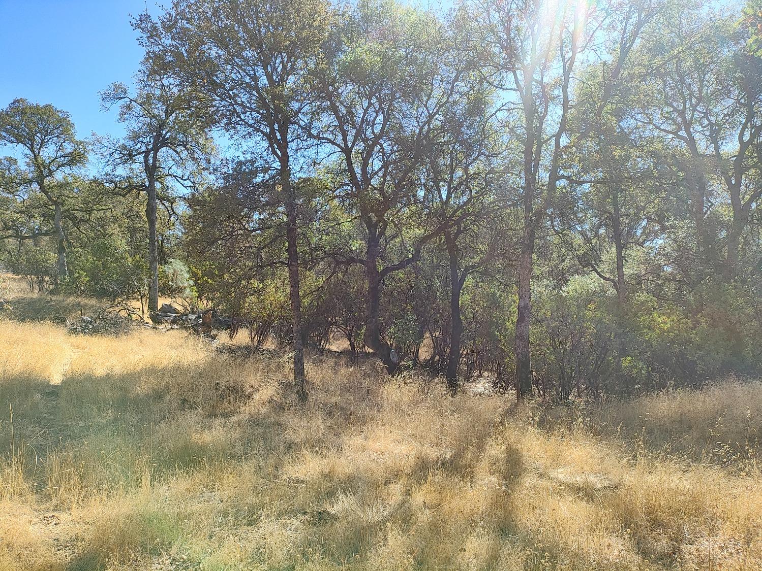 Marie Lane, Rackerby, California image 18