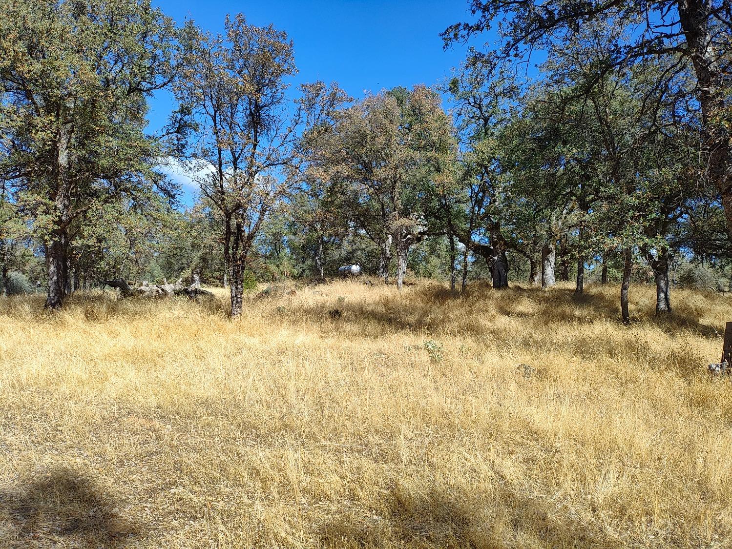 Marie Lane, Rackerby, California image 16