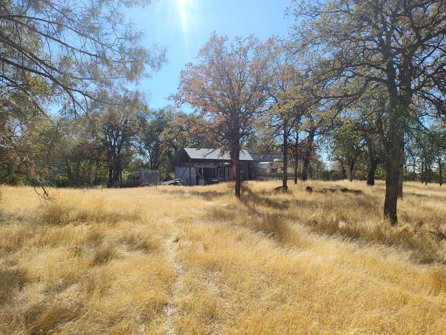 Marie Lane, Rackerby, California image 8