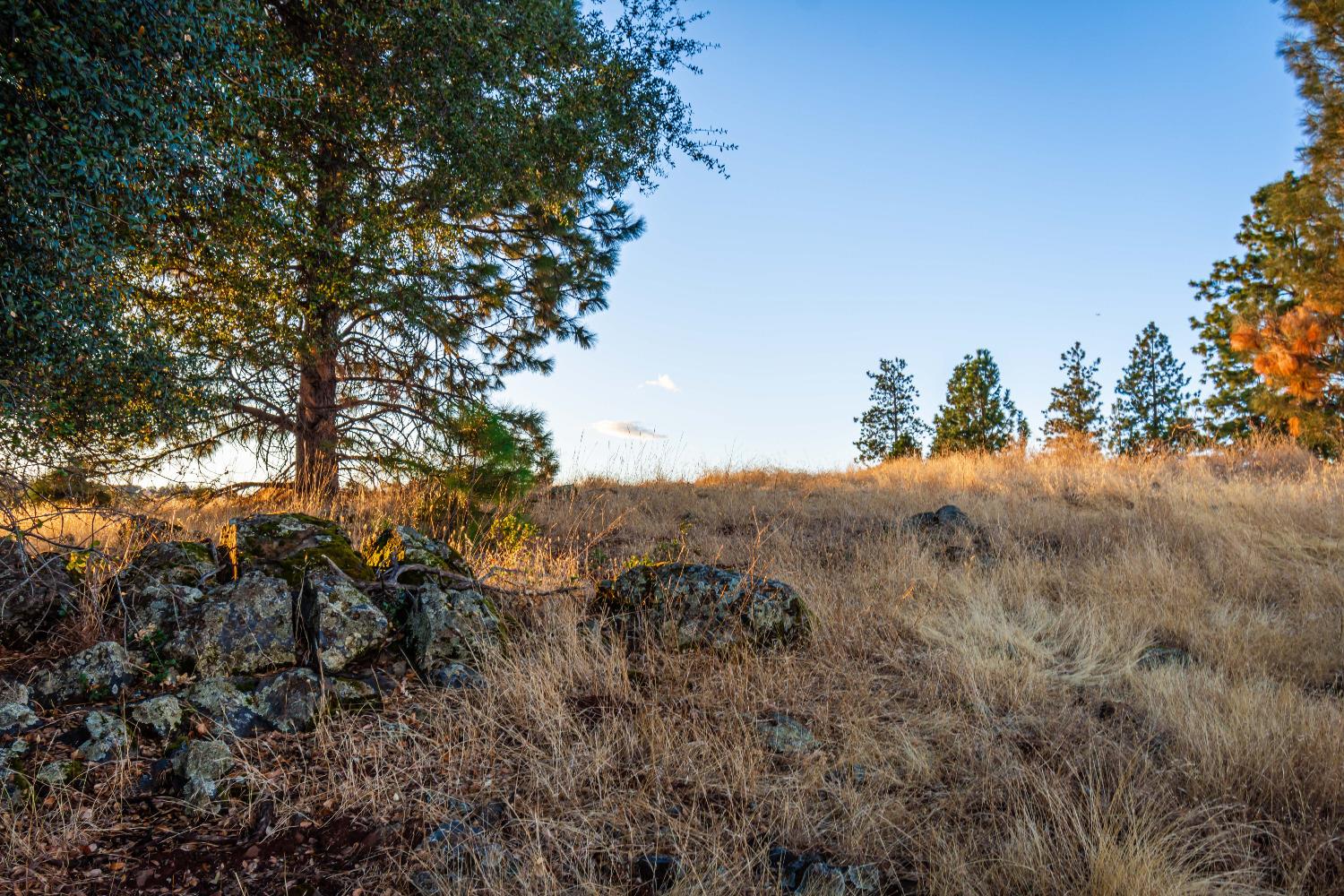 Detail Gallery Image 87 of 98 For 19635 Peyton Pl, Grass Valley,  CA 95949 - – Beds | – Baths