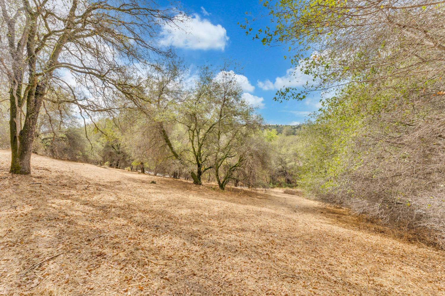 Detail Gallery Image 37 of 56 For 1215 Boot Hill Ln, Newcastle,  CA 95658 - – Beds | – Baths