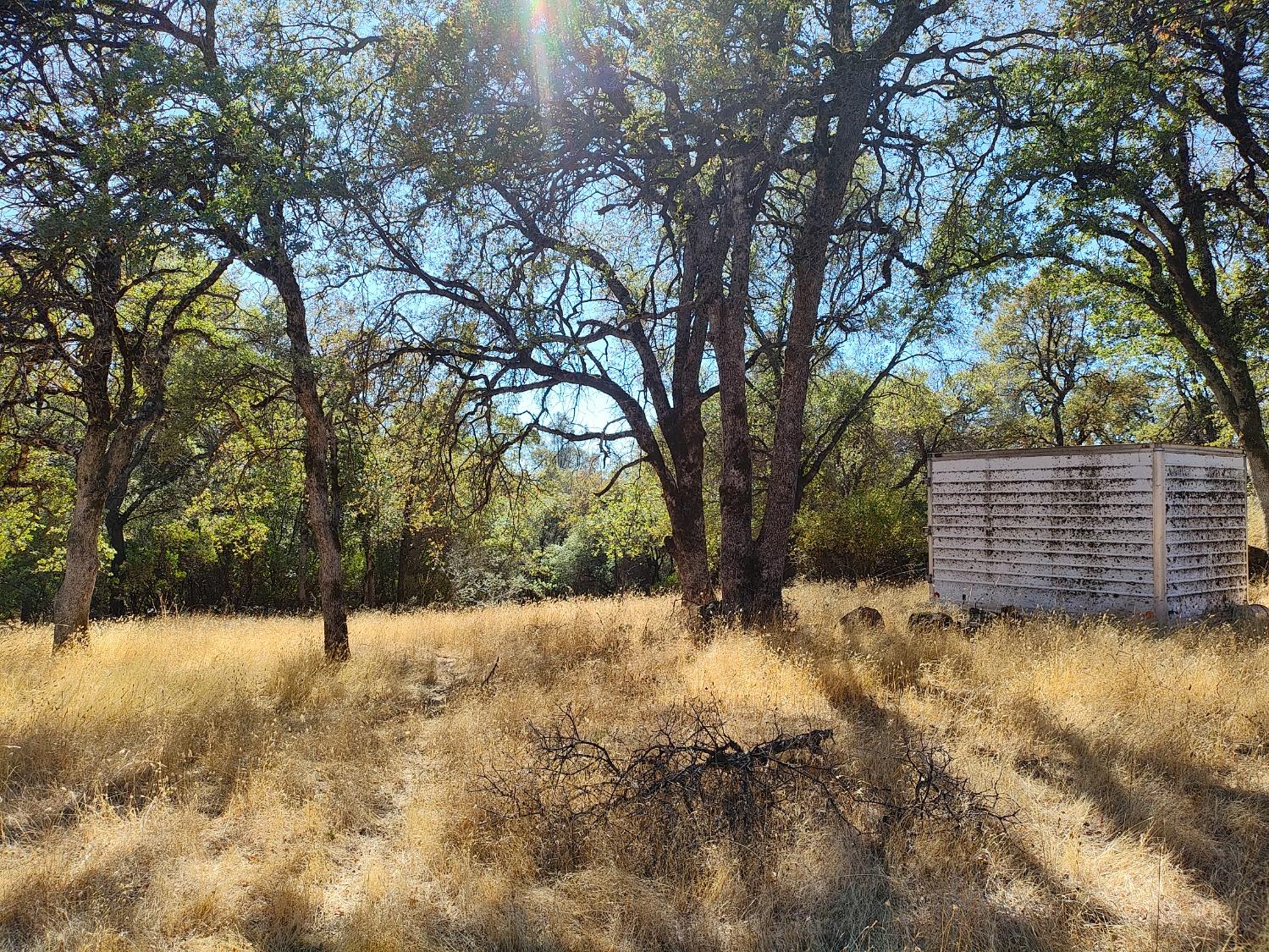 Marie Lane, Rackerby, California image 14