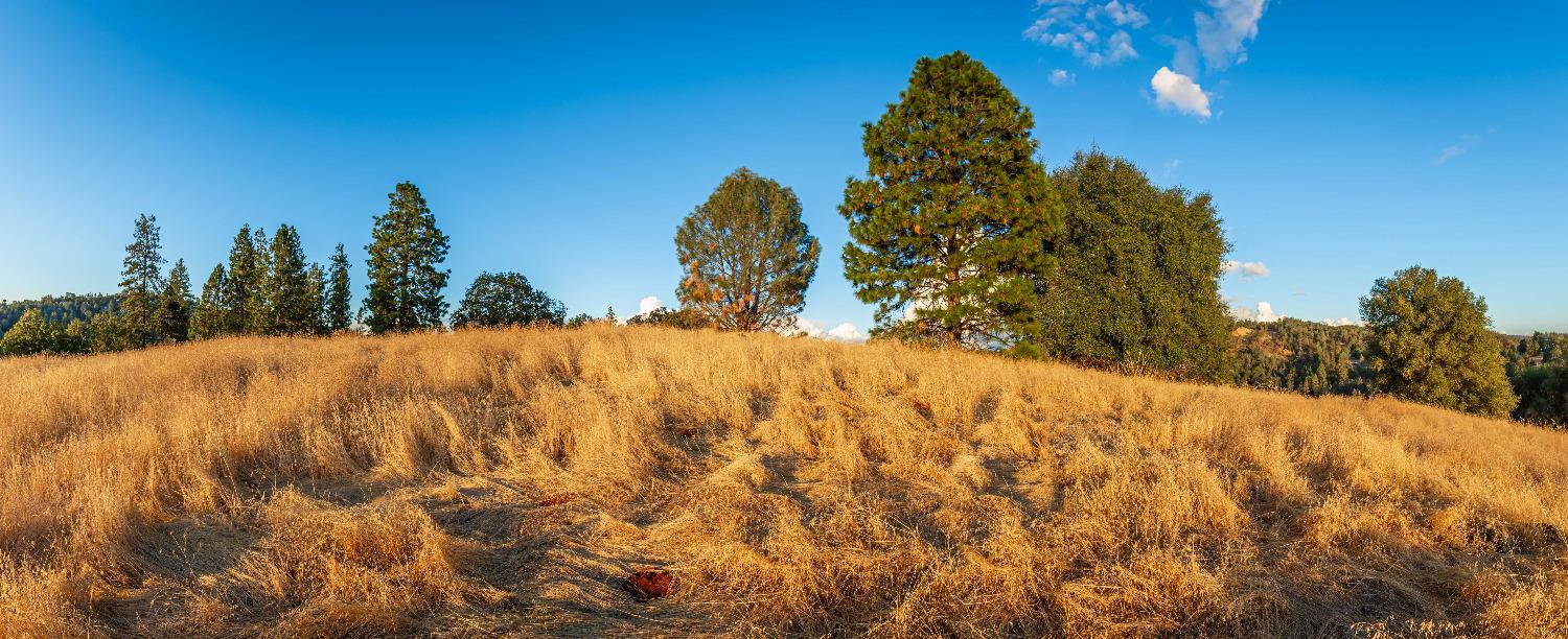 Detail Gallery Image 79 of 98 For 19635 Peyton Pl, Grass Valley,  CA 95949 - – Beds | – Baths