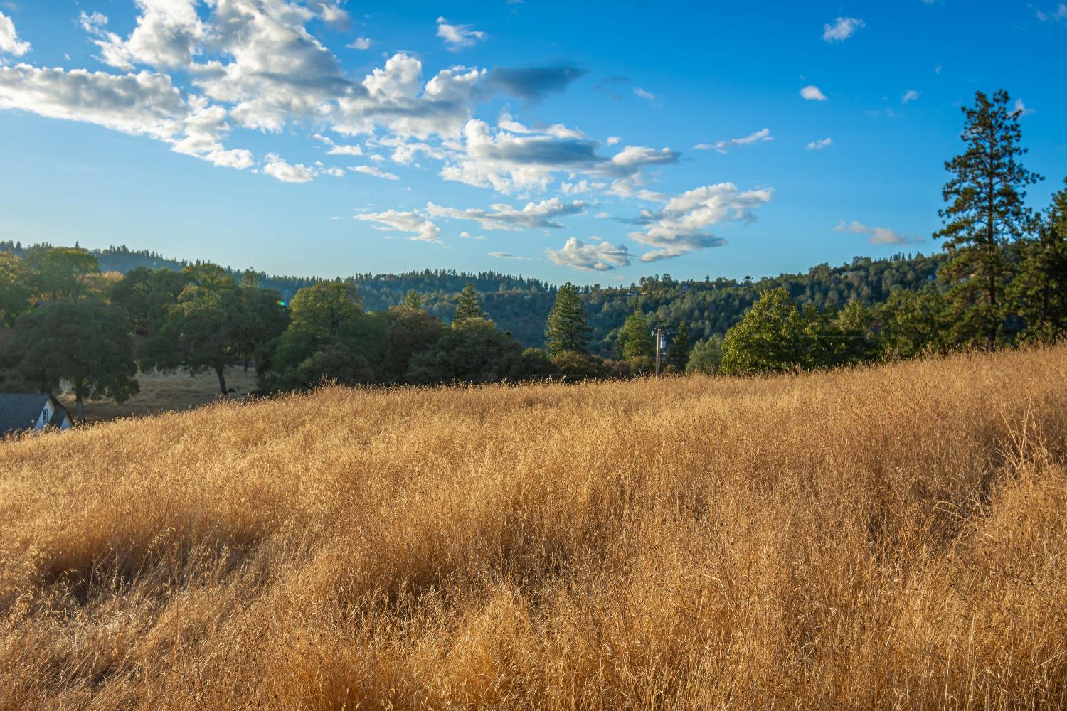 Detail Gallery Image 72 of 98 For 19635 Peyton Pl, Grass Valley,  CA 95949 - – Beds | – Baths