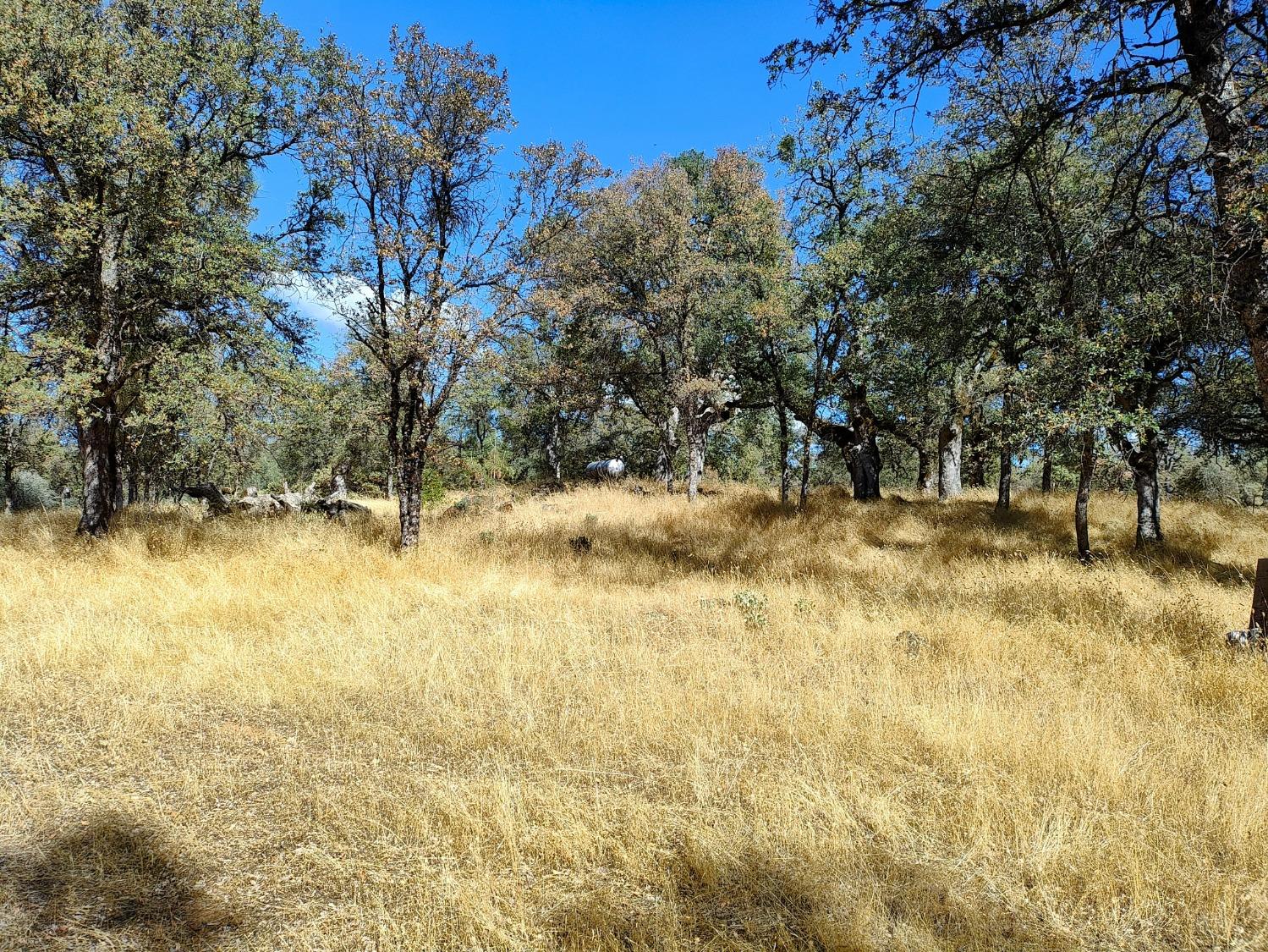 Marie Lane, Rackerby, California image 17