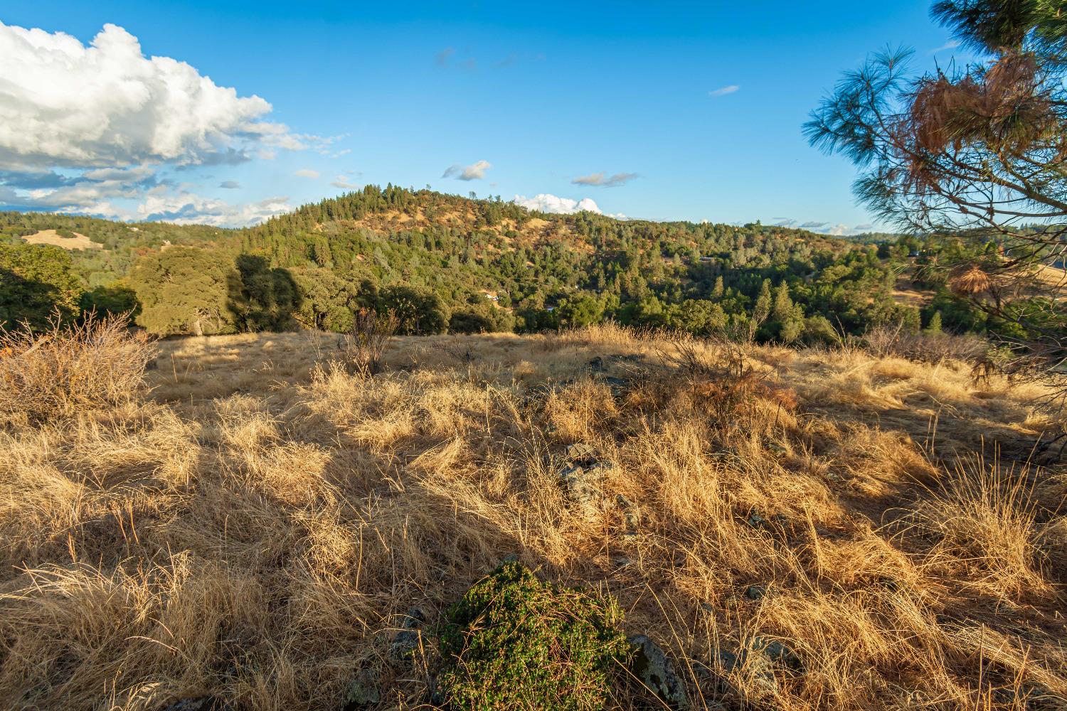 Detail Gallery Image 55 of 98 For 19635 Peyton Pl, Grass Valley,  CA 95949 - – Beds | – Baths