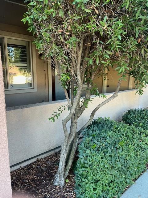 Detail Gallery Image 21 of 33 For 1501 Secret Ravine Pkwy #711,  Roseville,  CA 95661 - 2 Beds | 2 Baths