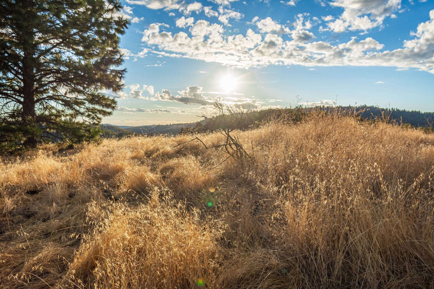 Detail Gallery Image 62 of 98 For 19635 Peyton Pl, Grass Valley,  CA 95949 - – Beds | – Baths