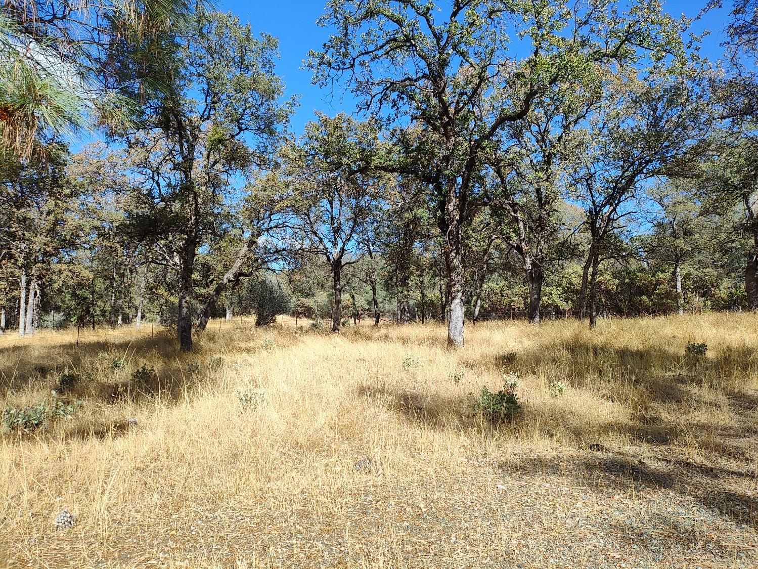 Marie Lane, Rackerby, California image 32