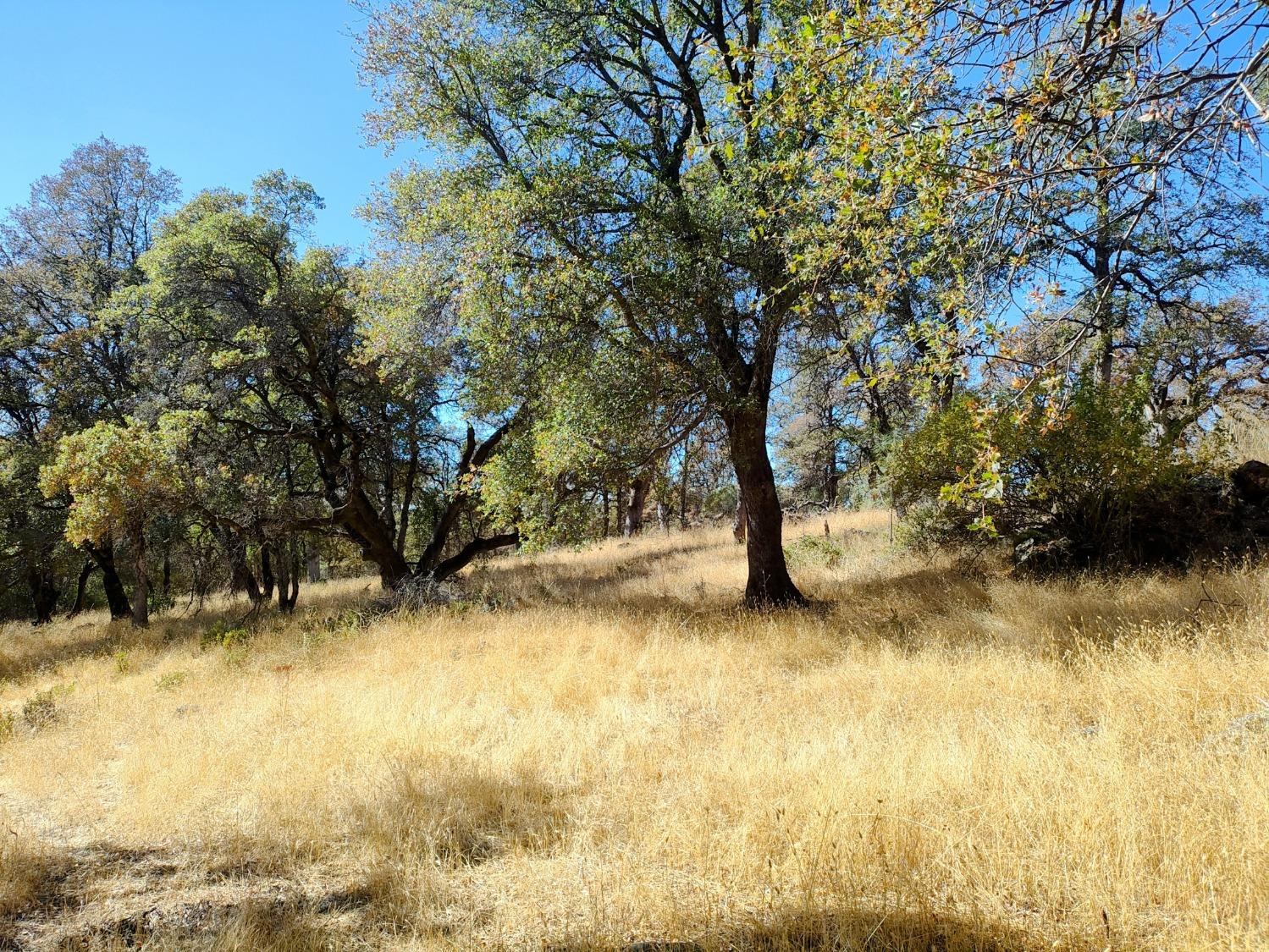 Marie Lane, Rackerby, California image 20