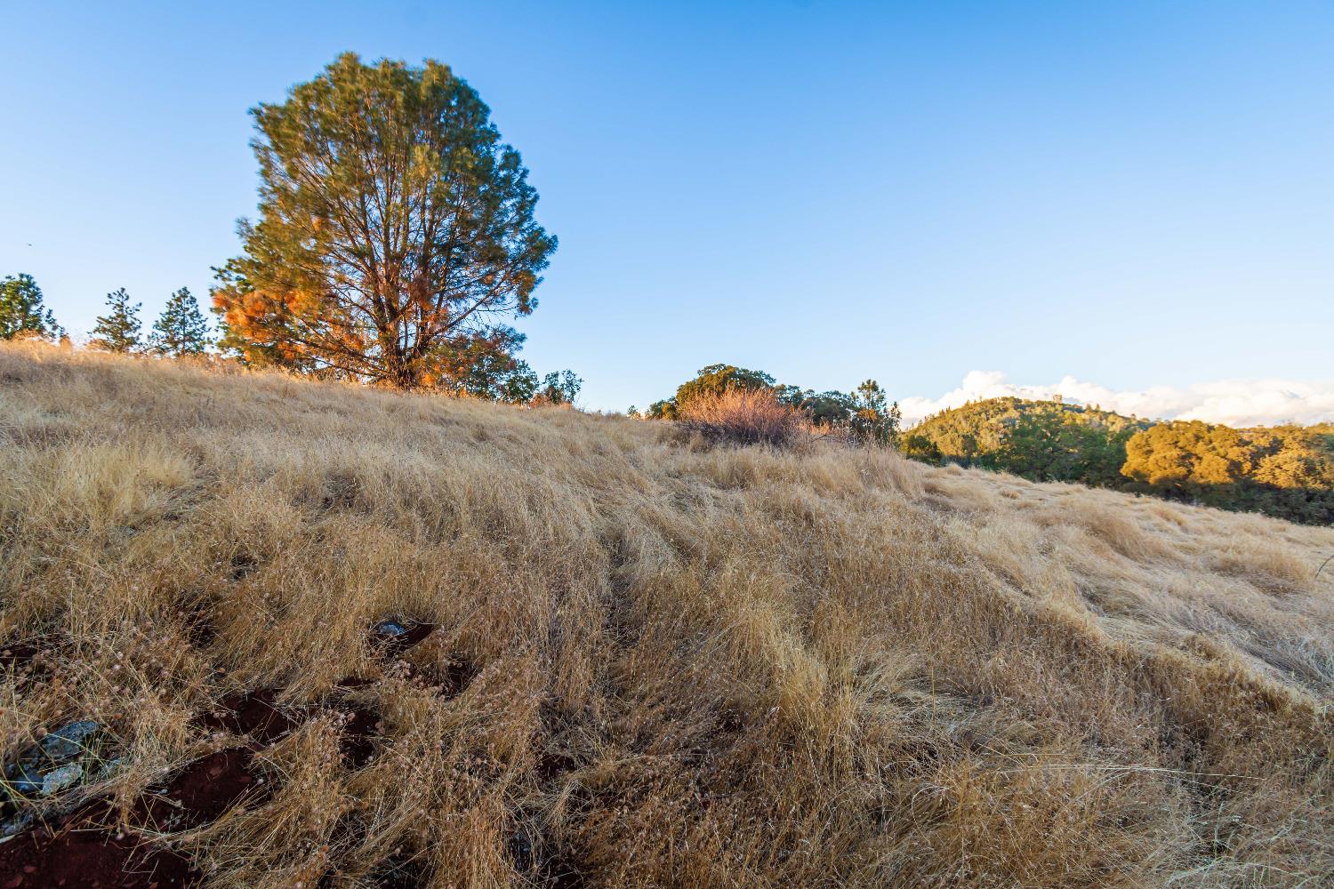 Detail Gallery Image 86 of 98 For 19635 Peyton Pl, Grass Valley,  CA 95949 - – Beds | – Baths